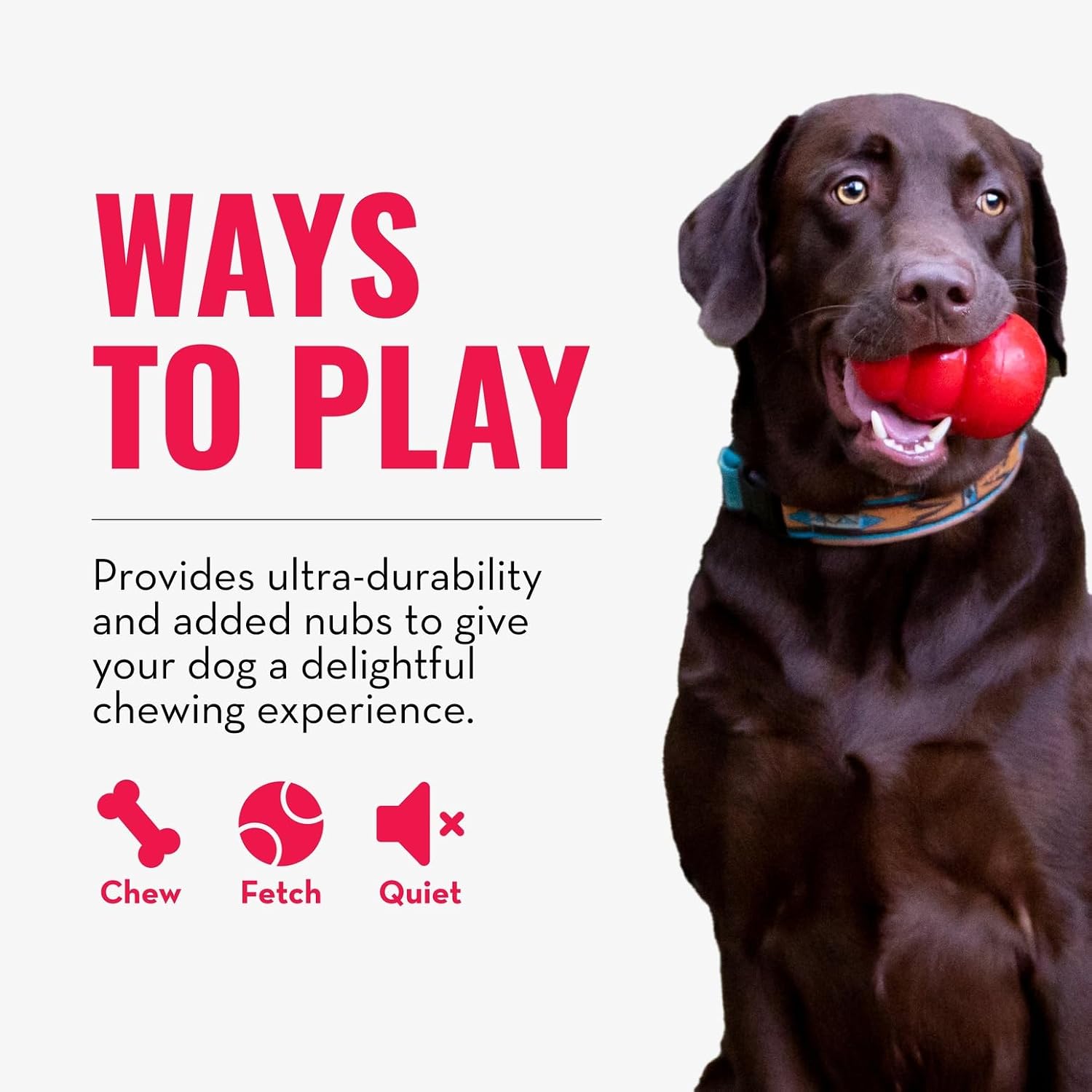 KONG Ring - Natural Rubber Ring Toy for Healthy Chewing Habits - Chew Toy Supports Dog Dental Health - Dog Toy Supports Instincts During Playtime - for Small/Medium Dogs - Image 5
