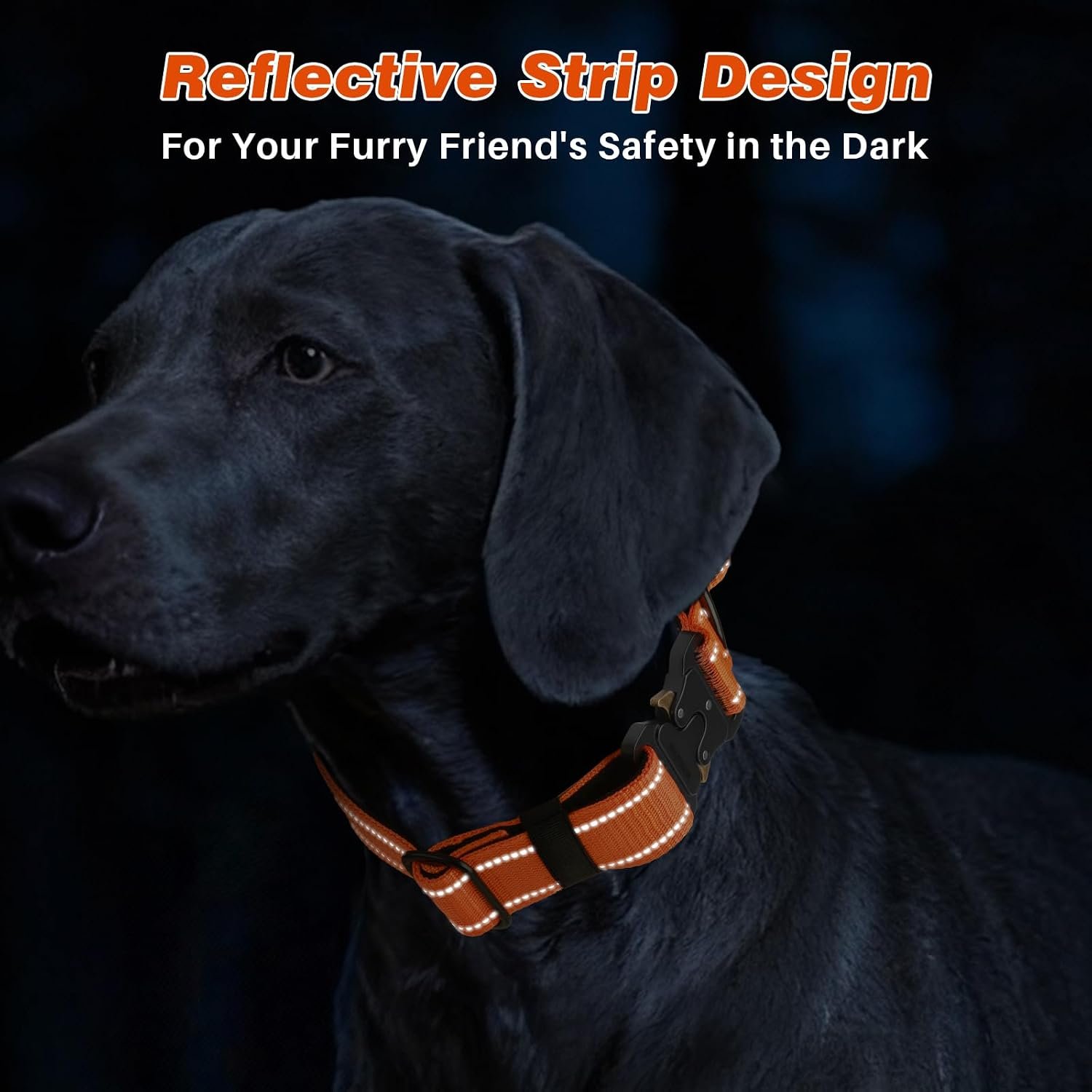 WINGOIN Tactical Dog Collar with AirTag Holder, Heavy Duty Reflective | Nylon Collar for Large Dogs, Quick Release Metal Buckle, Dogcollar for Training Walking Hunting, IPX5 Waterproof, Green, L - Image 8