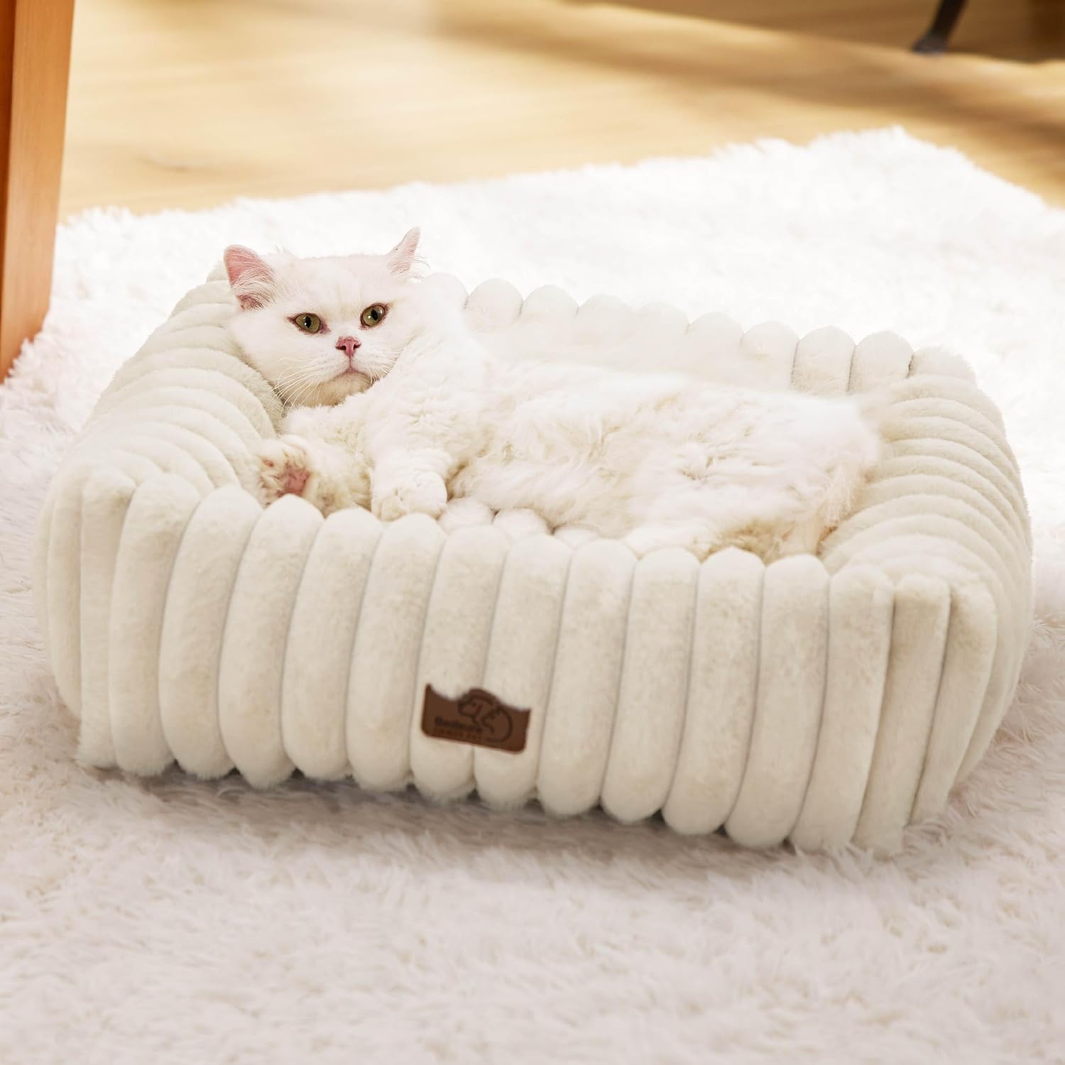 Bedsure ComfyFleece™ Cute Dog Bed for Small Dogs & Cats Washable,20in Cream | Furry Cat Beds For Indoor Cats,Square Orthopedic Corduroy Aesthetic Puppy Beds,Removable Cover,Non-Slip Bottom,up to 10 Lbs