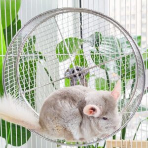 Large Stainless Steel 11.81”L...