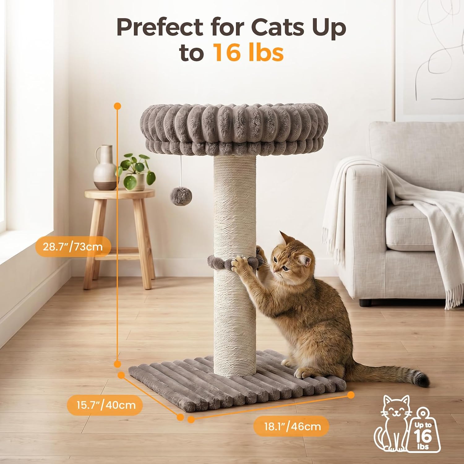 Avont 29” Sisal Cat Scratching Post, Cat Scratcher with Large Plush Perch | Scratching Post with Plush Elevated Bed for Indoor Cats, Removable& Washable Cover, Taupe - Image 3