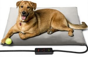 Toozey XL Pet Heating Pad, Waterpro...