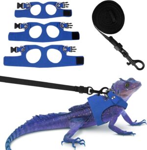 Bearded Dragon Harness Leash Set 3 ...