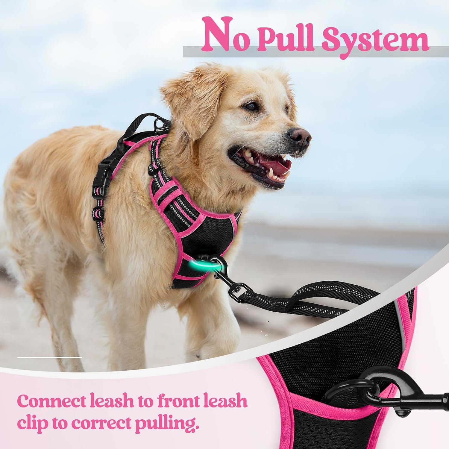 rabbitgoo Dog Harness No Pull with 2 Leash Clips, Adjustable Soft Padded, Reflective Oxford No Choke Pet Vest with Easy Control Handle for Large Dogs, Black & Hot Pink, L - Image 5
