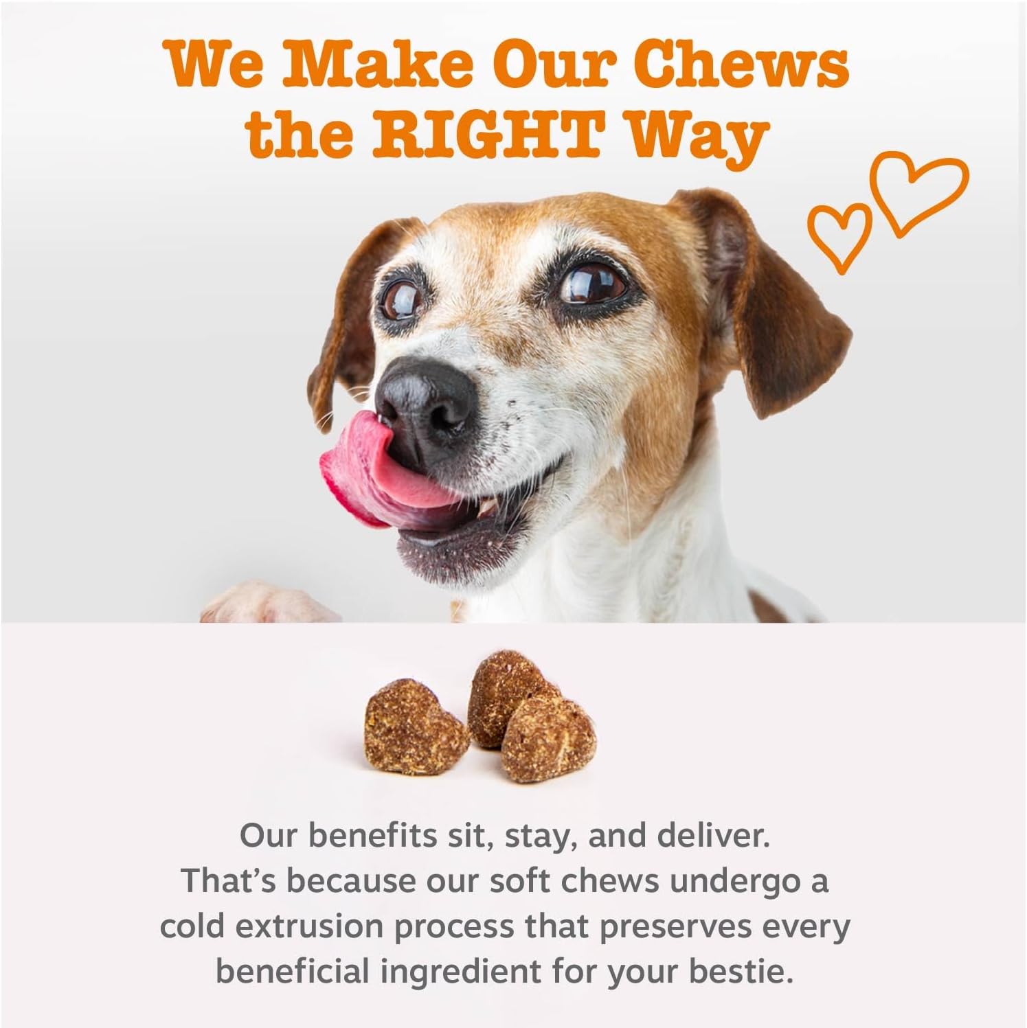 Zesty Paws Dog Allergy Relief Chews, Dog Probiotics for Itchy Skin and Ears, Salmon, 90ct - Image 5