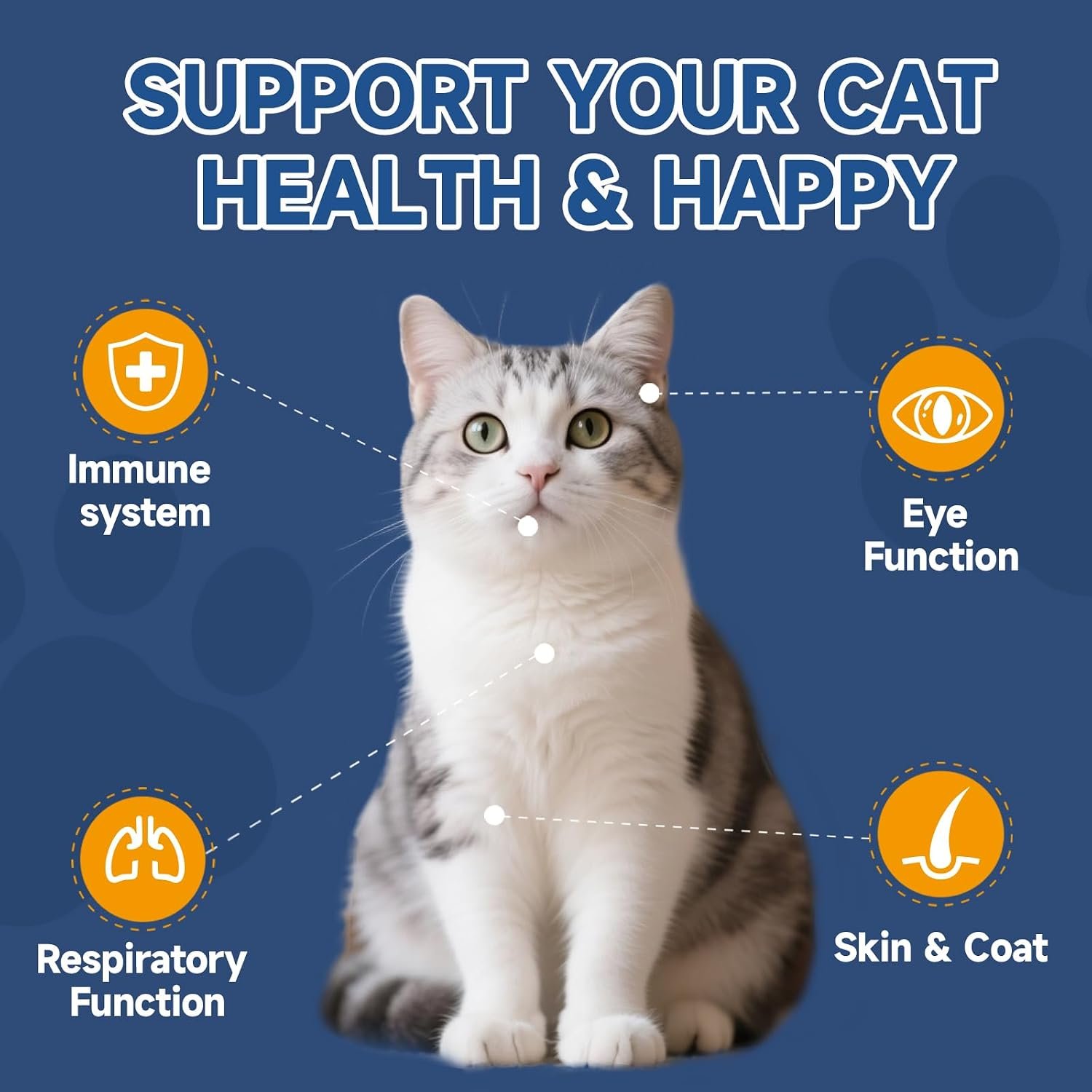 L-Lysine for Cats, Support Immune System, Respiratory, Eye Health | Ease Sneezing, Runny Nose, Watery Eyes Support, with Taurine, Herbal Blend, Vitamins, for All Cats, Chicken Flavor, 120g - Image 4