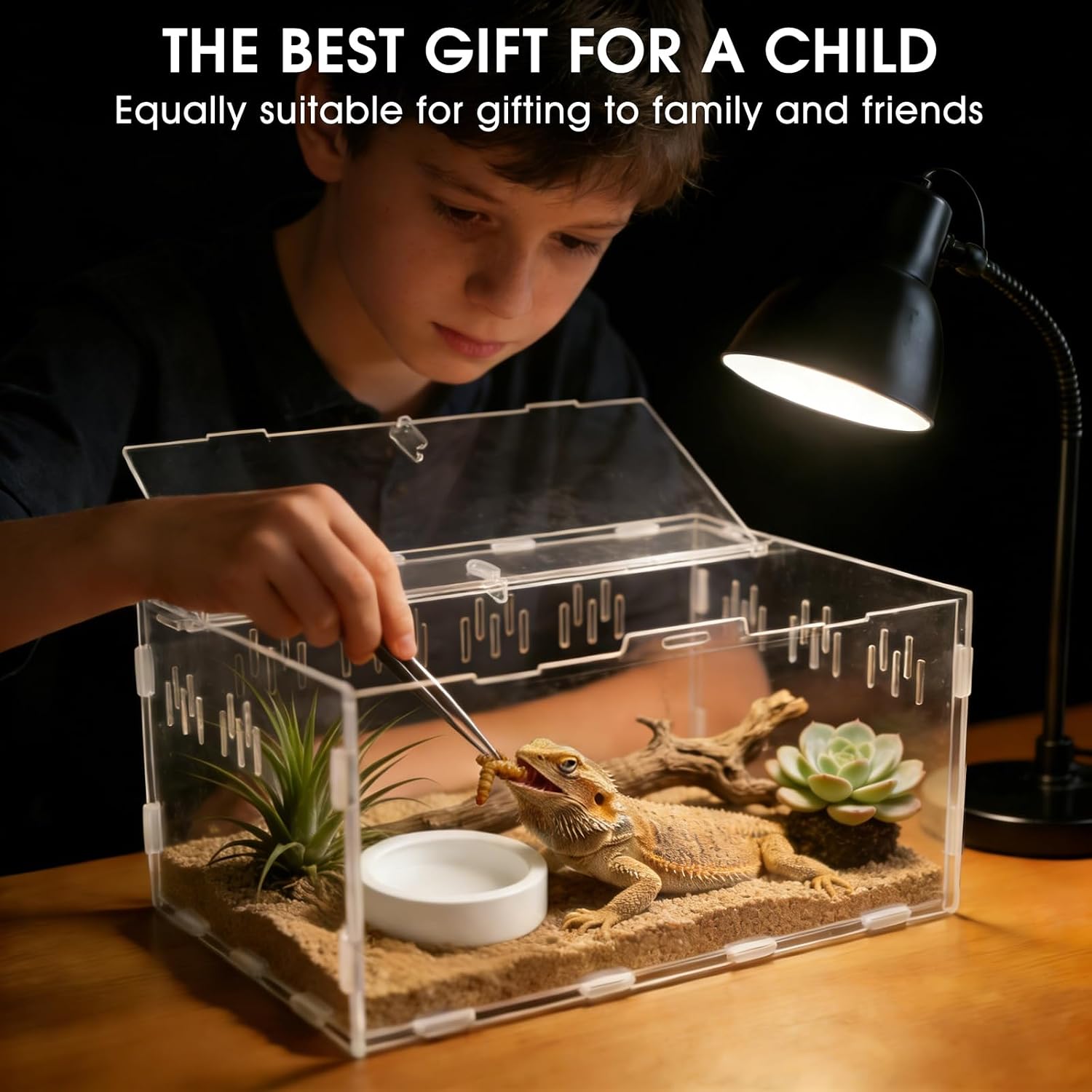 Acrylic Reptile Terrarium, Tarantula Enclosure(Tweezers & Bowl Included) | Reptile Tank with Magnetic Door for Spiders, Mantis, Frogs, Snails & Isopods, 11.4"x7.8"x5.9" - Image 7