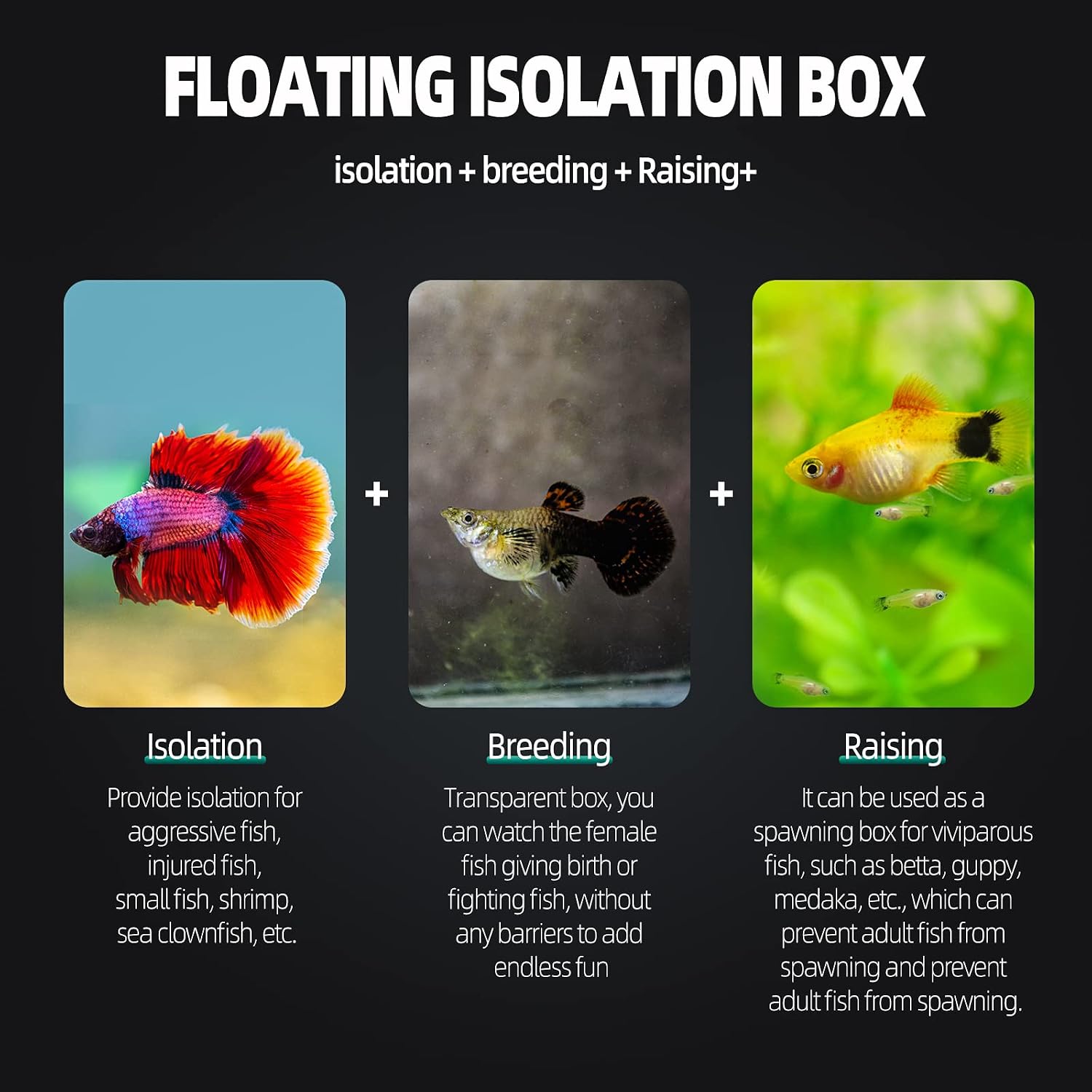 Boxtech Aquarium Fish Tank Hatchery Incubator Breeding Box, Acrylic White Breeder Isolation Divider Hatching Boxes Accessory Small Baby Fishes Shrimp Clownfish Guppy - Image 4