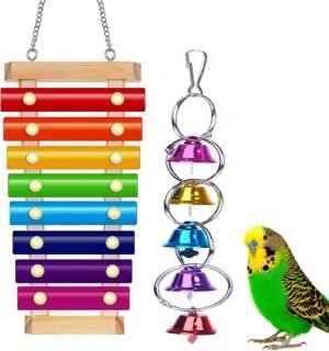 Colorful Bird Xylophone Toy Interac...