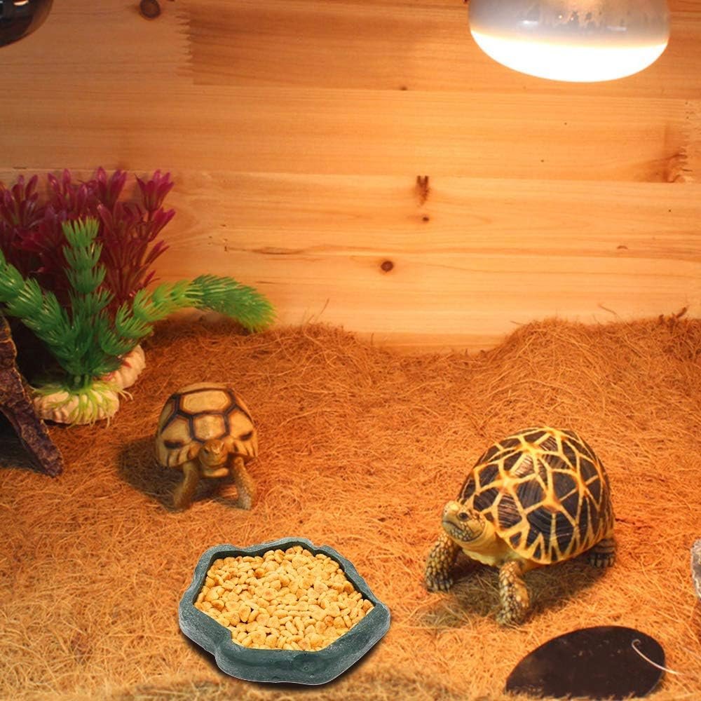 SLSON Small Reptile Feeder Terraium Bowl Plastic Shallow Reptile Feeder for Food and Water Feeding Dish for Lizard Gecko Junior Bearded Dragon,Small Green - Image 2