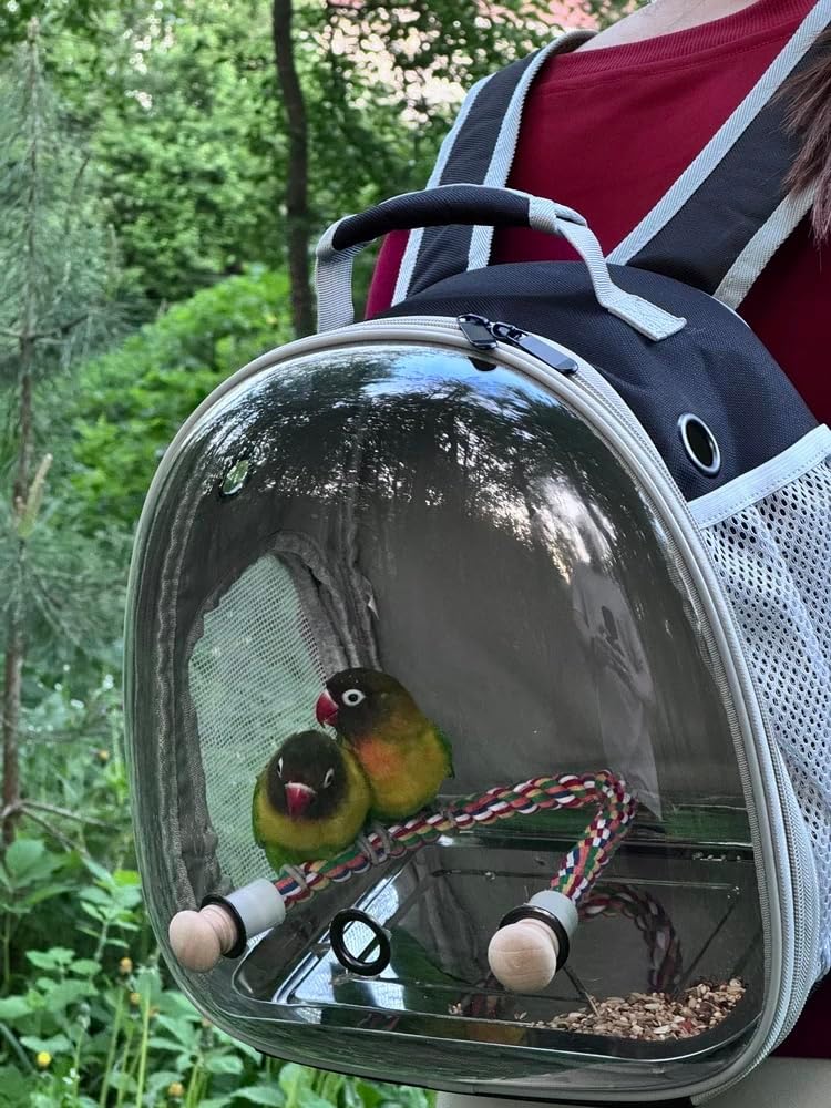 Small Bird Travel Backpack Carrier Cage, Backpack to Transport Backpack Carrier with Metal Tray Stand Perch for Parakeet Cockatiel Budgies Vet Carry Book Bag Black - Image 5