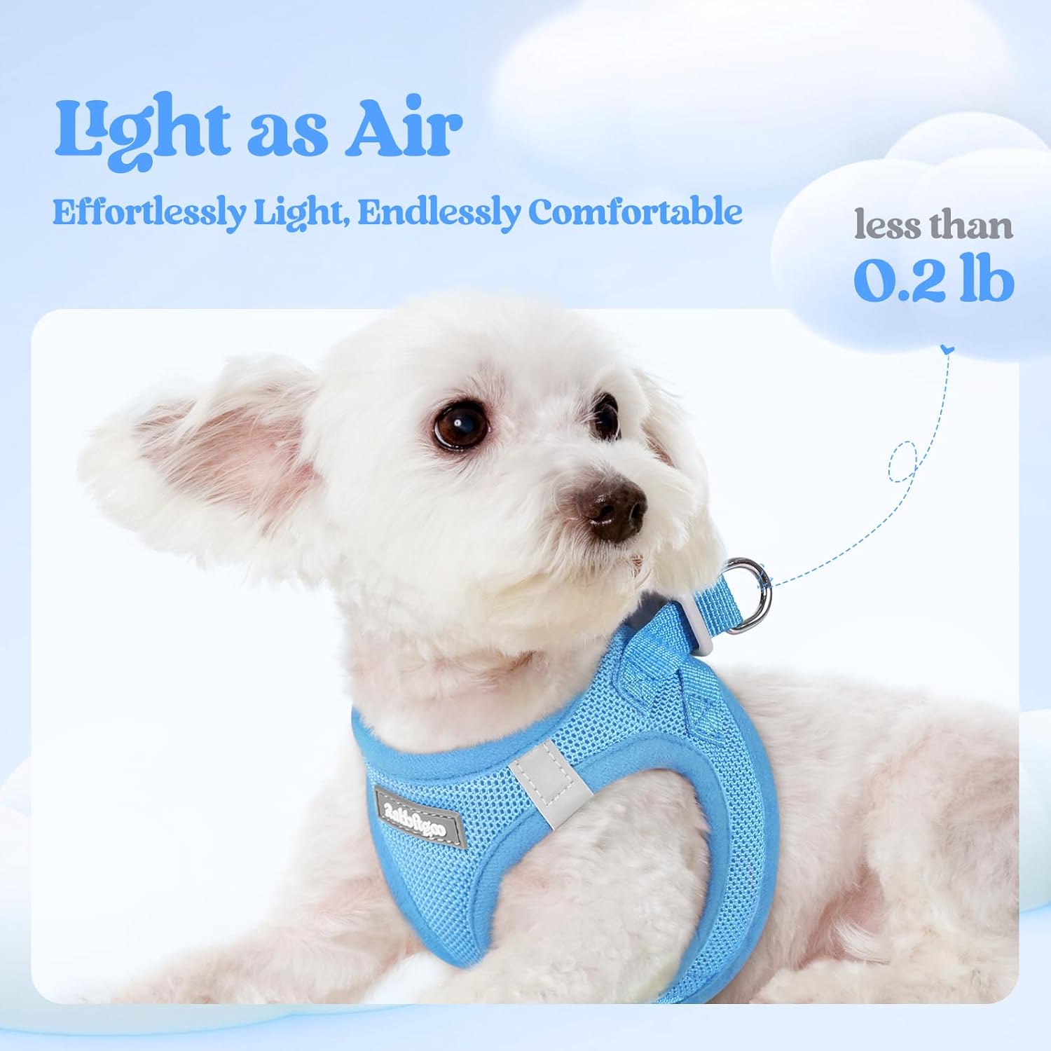 rabbitgoo Dog Harness Small Sized and Leash Set, Step-in Puppy Pet Vest | Light, Soft, Breathable Air Mesh, Easy on and Remove with Hook & Loop, Secure Reflective for Walking, Blue S - Image 4