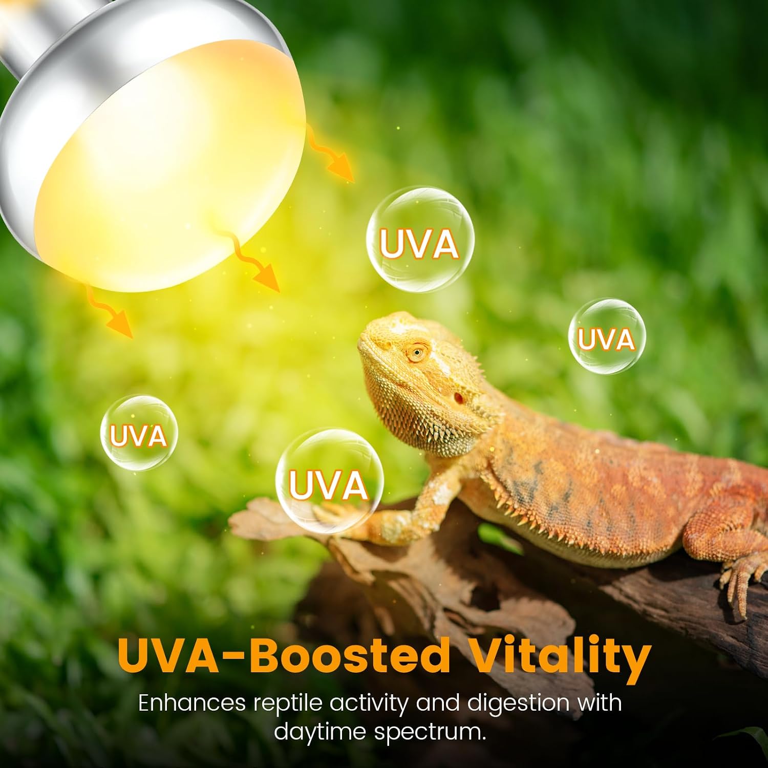 REPTITRIP Dual Reptile Light Fixture with 100W Daytime Heat Bulb & 100W Nighttime Ceramic Heat Emitter, 2 Independent Switches, Reptile Heat Lamp Combo Pack - No UVB - Image 6