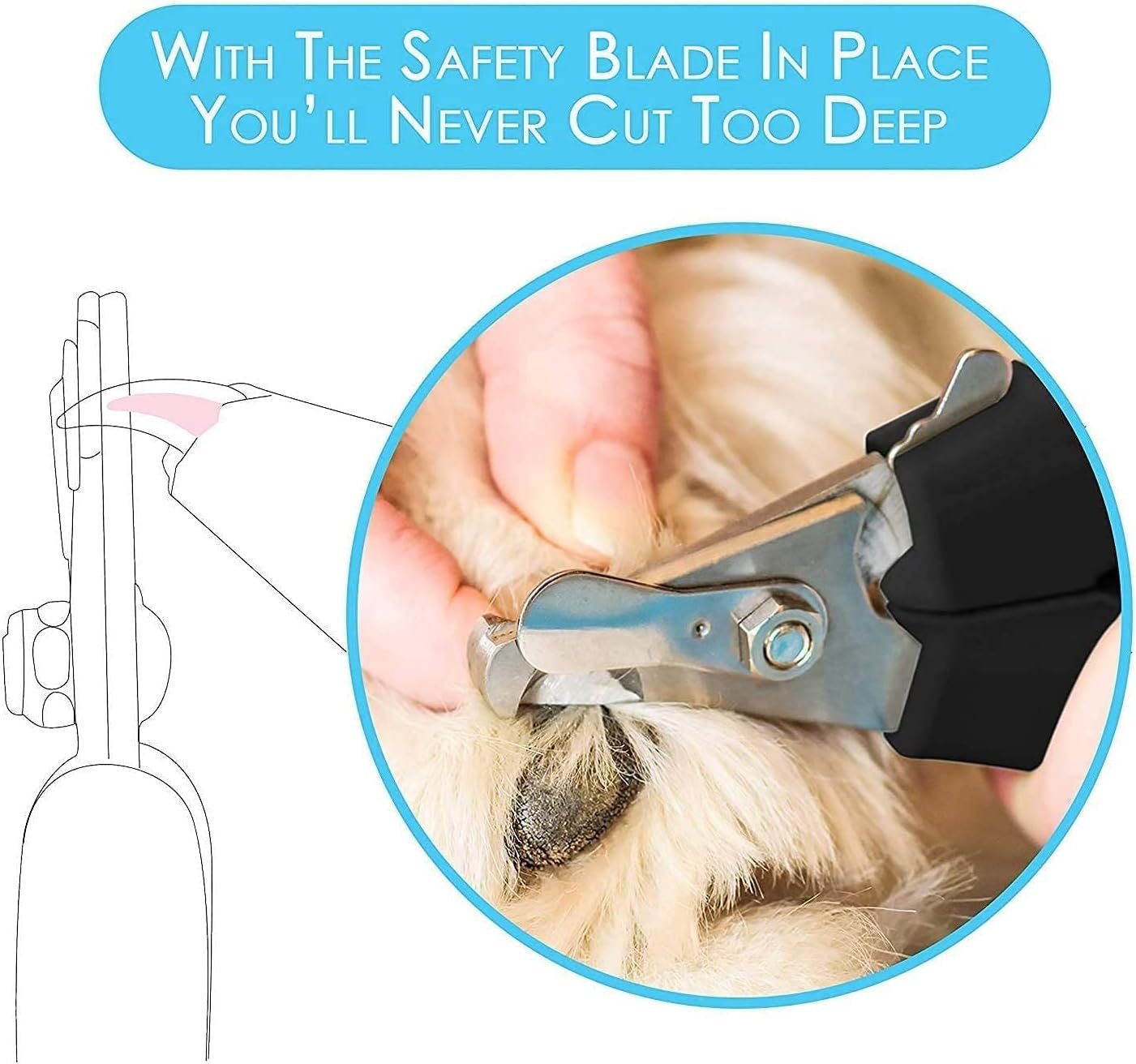 Candure Dog Nail Clippers and Trimmer with Safety Guard to Avoid Over-Cutting Toe Nails, Professional Grooming Pet Nail Clipper with Nail File for Small, Medium & Large Breeds | Pet Dog and Cat Nail Clipper - Image 5