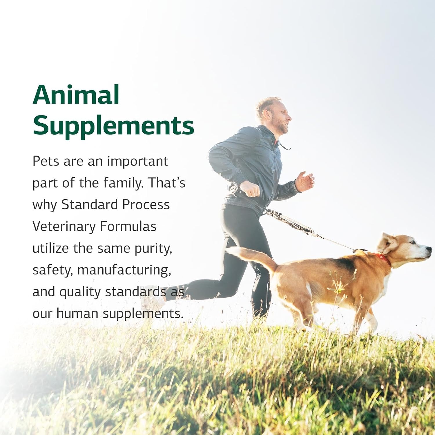 Standard Process Mushroom Complex for Dogs & Cats - Immune Support Supplement with Bovine Colostrum - Lion's Mane Extract Powder for Dog & Cat Immune Support - Essential Aid for Pet Health - 2.92 oz - Image 6