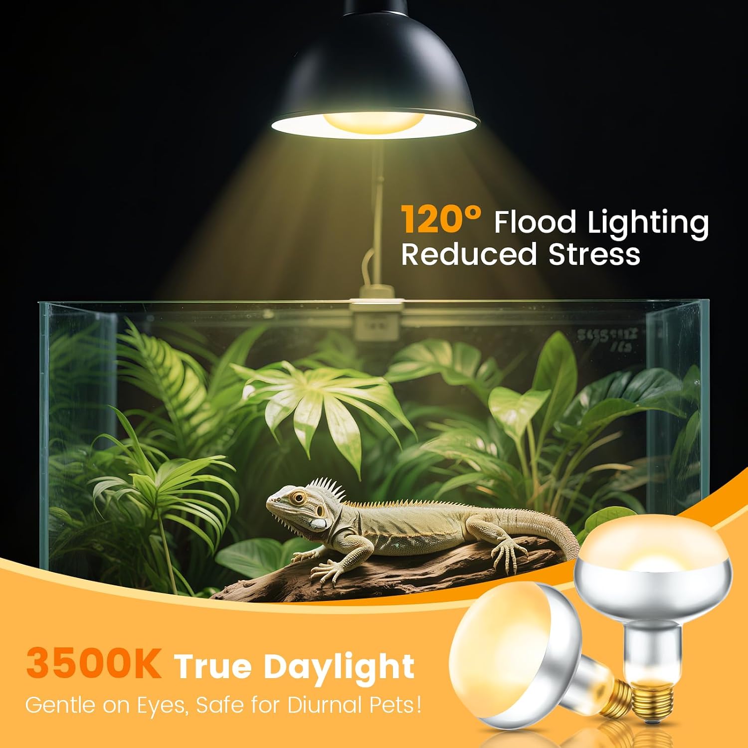 REPTITRIP Dual Reptile Light Fixture with 100W Daytime Heat Bulb & 100W Nighttime Ceramic Heat Emitter, 2 Independent Switches, Reptile Heat Lamp Combo Pack - No UVB - Image 7