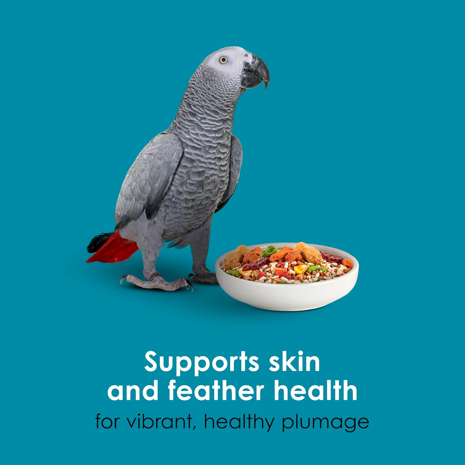 Kaytee Forti-Diet Pro Health+Safflower Nourish+Protect Parrot Food, Supports Breeding and Molting, Nutrition Backed by Science, Digestive and Brain Health, 4 pounds - Image 8