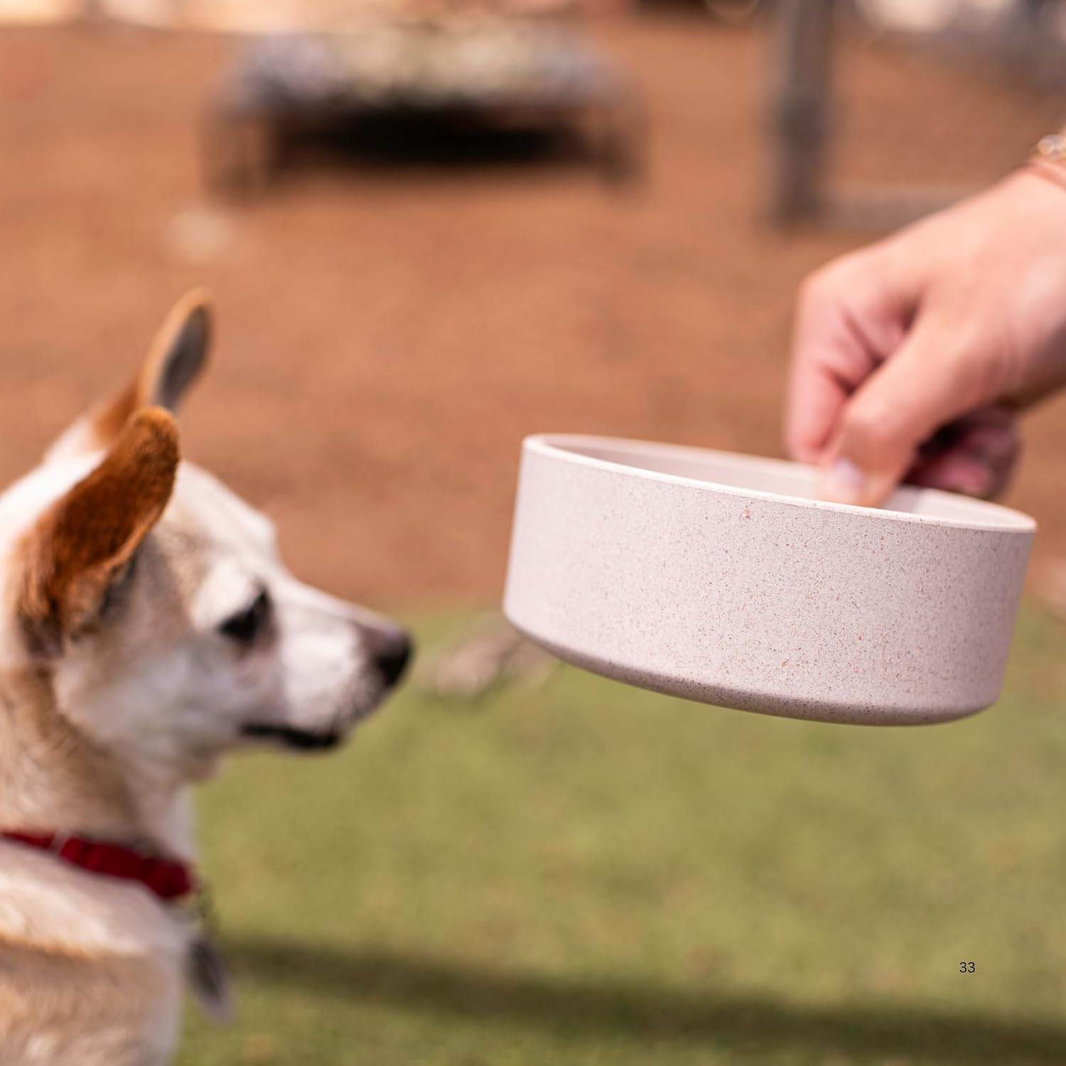 Loving Pets - Dolce Bamboo - Eco-Friendly Pet Bowls & Dishes for Dog, Cats, Puppy Food and Water Dish -Sustainable and Dishwasher Safe, Made with Real Bamboo (Medium, Oat-Beige) - Image 5
