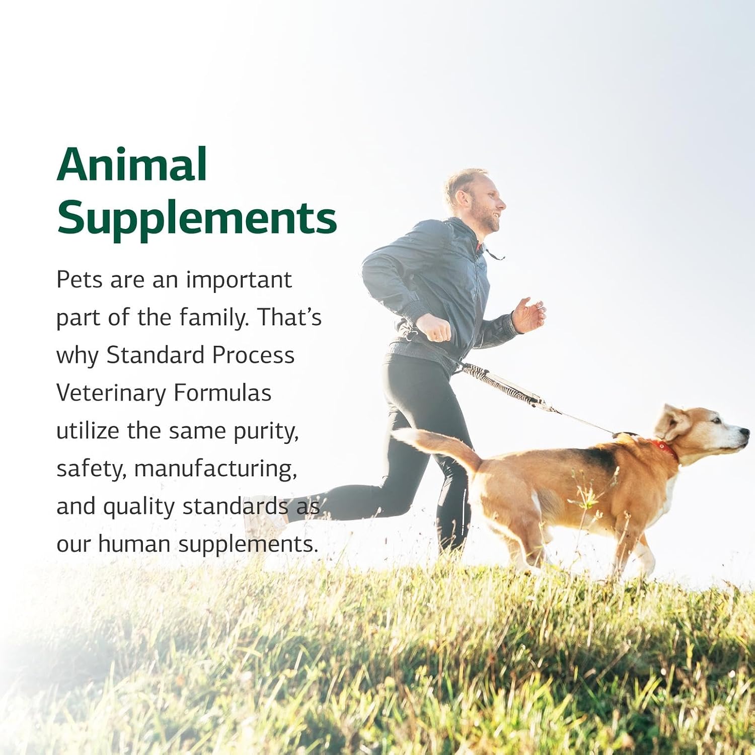 Standard Process VF Bio-Dent for Pets - Bone Growth & Healthy Tissue Support - Overall Mouth Health - Nutritional Supplement for Cats & Dogs - 90 Tablets - Image 6