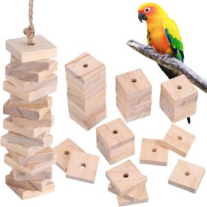 NOLITOY Parrot Toys: 100PCS Wooden ...