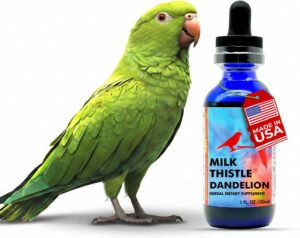 Milk Thistle & Dandelion Extra...