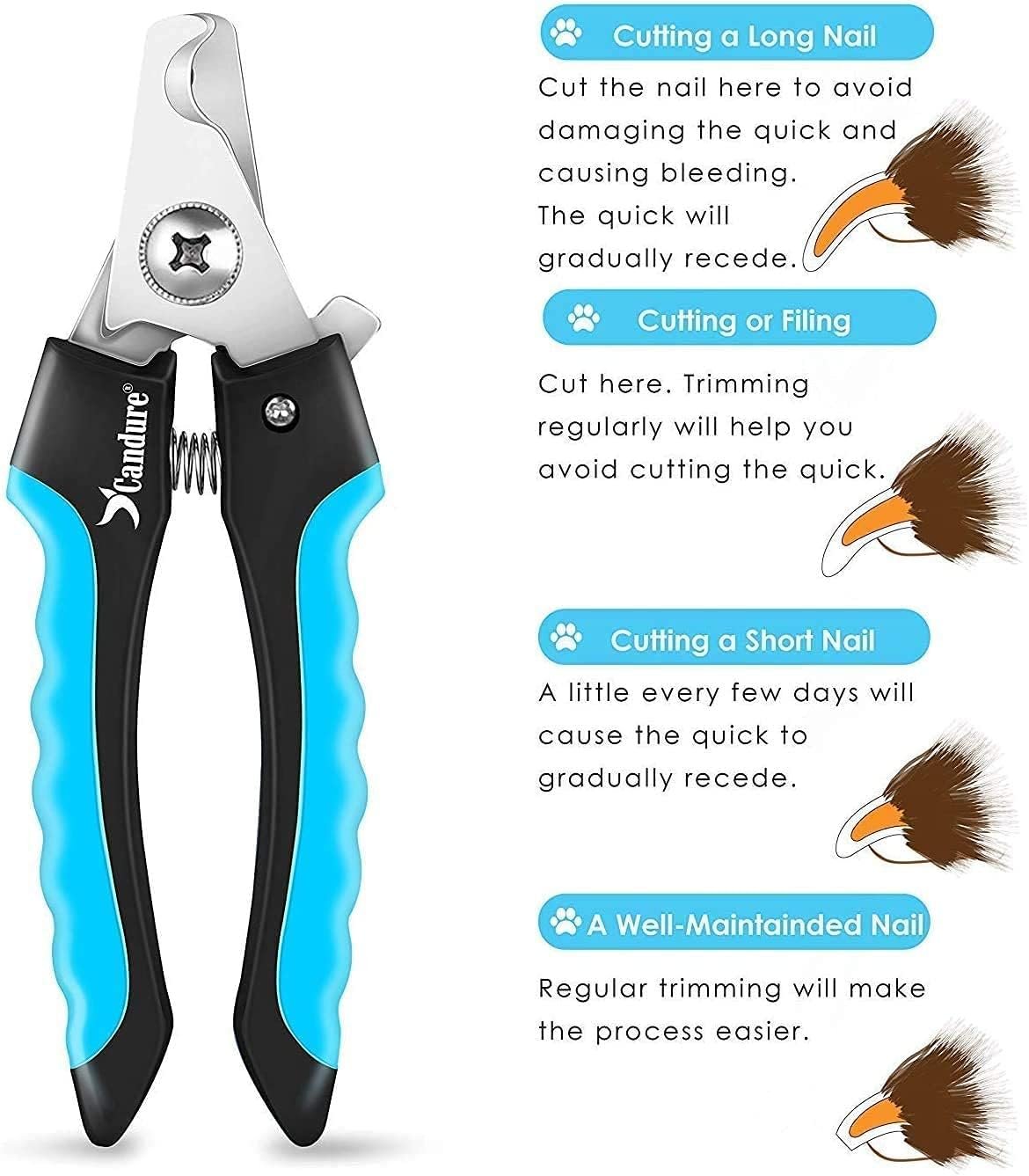 Candure Dog Nail Clippers and Trimmer with Safety Guard to Avoid Over-Cutting Toe Nails, Professional Grooming Pet Nail Clipper with Nail File for Small, Medium & Large Breeds | Pet Dog and Cat Nail Clipper - Image 6