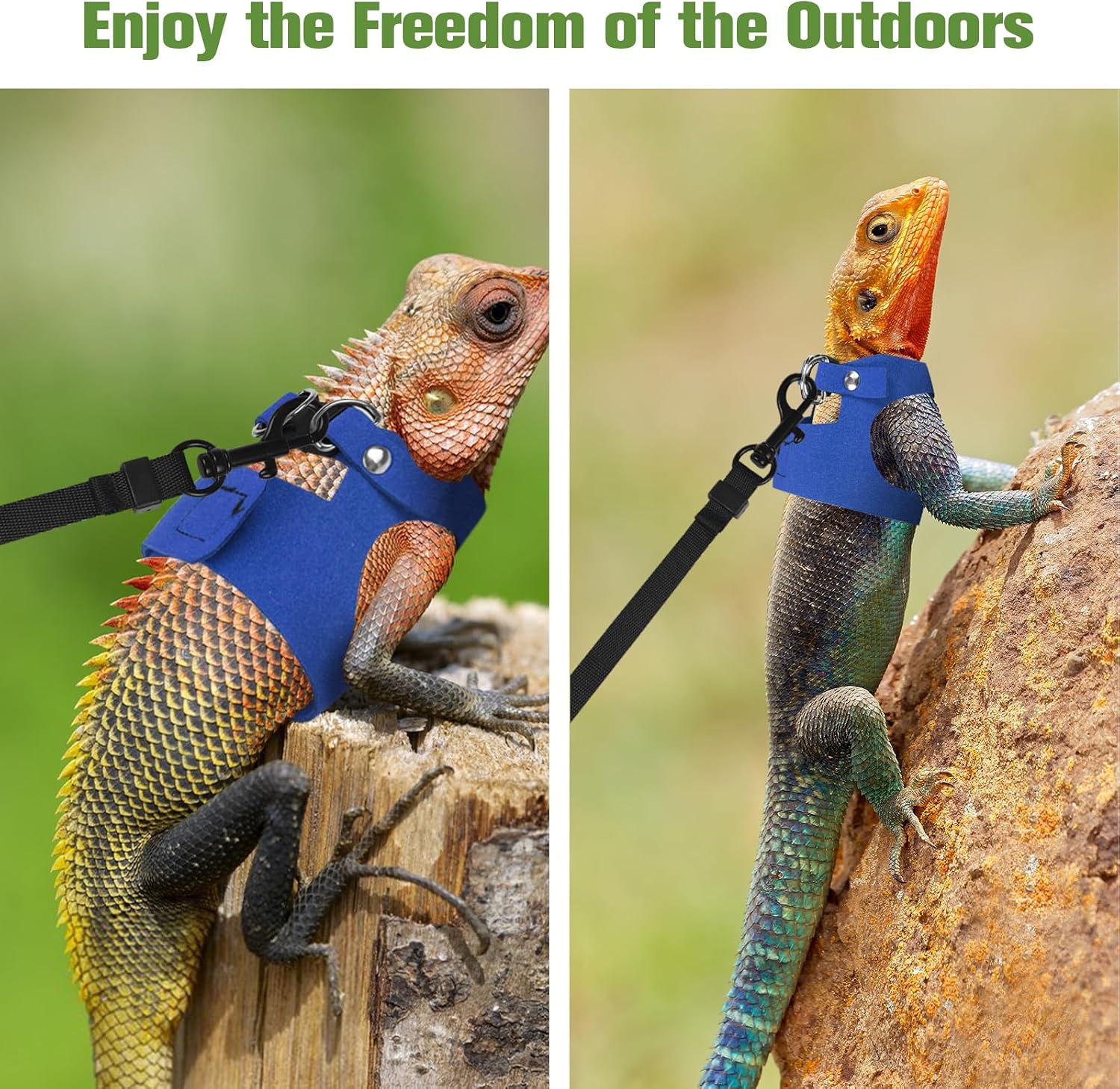 Bearded Dragon Harness Leash Set 3 Size Adjustable Lizards Training Walking Leather Vest Escape-Proof Traction Rope for Outdoor Small Reptiles Animal Squirrels (Blue) - Image 7