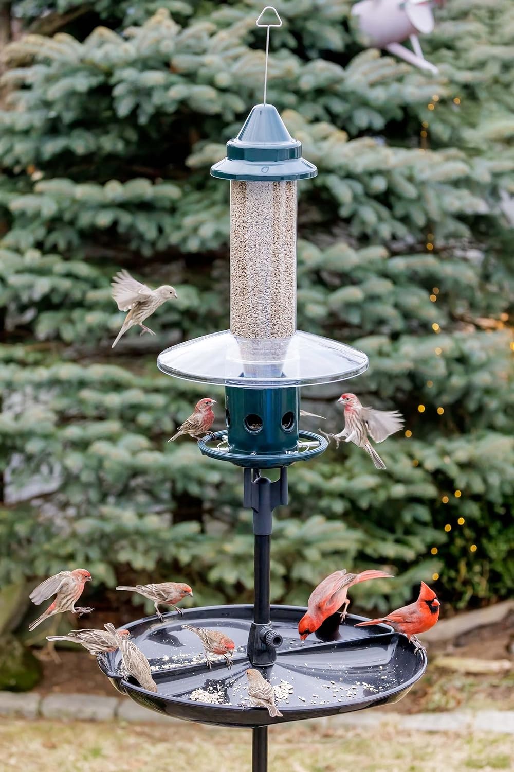 Squirrel Buster Plus Squirrel-proof Bird Feeder w/Cardinal Ring and 6 Feeding Ports, 5.1-pound Seed Capacity, Adjustable, Pole-mountable (POLE ADAPTOR SOLD SEPARATELY), Green | Squirrel-Proof Weight-Activated Shroud, Cardinal Ring, 6 Ports, 5.1 Lb Capacity, Adjustable Tension, Detachable for Cleaning - Image 5