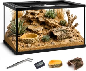 Reptile Glass Tank Starter Kit 16&#...