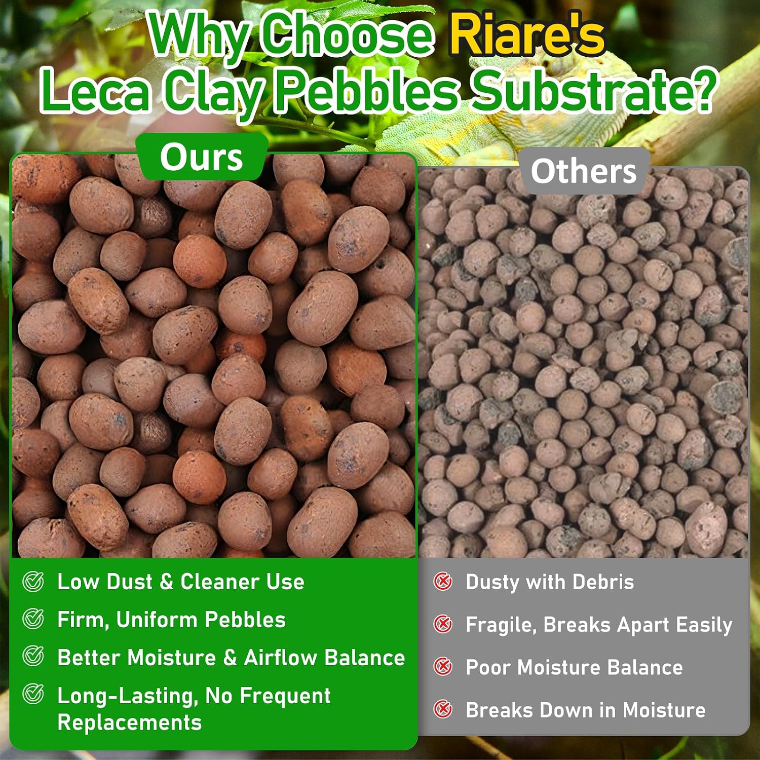 Riare 2LBS Expanded Clay Balls Terrarium Substrate for Reptiles - 100% Organic Lightweight Clay Pebbles Substrate Frogs False Bottom Substrate, Bioactive Terrarium Substrate for Drainage and Moisture - Image 5