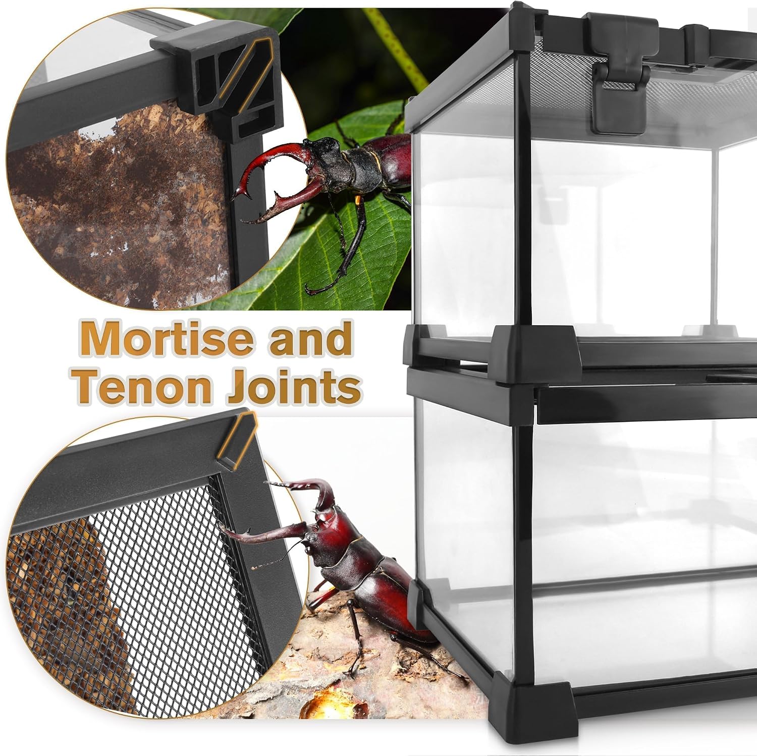 20"x12"x10" Reptile Terrarium, Escape-Proof Glass Terrestrial Vivarium for Small Desert Reptiles Such as Leopard Geckos, with Escape-Proof Lock & Feeding Hatch - Image 5