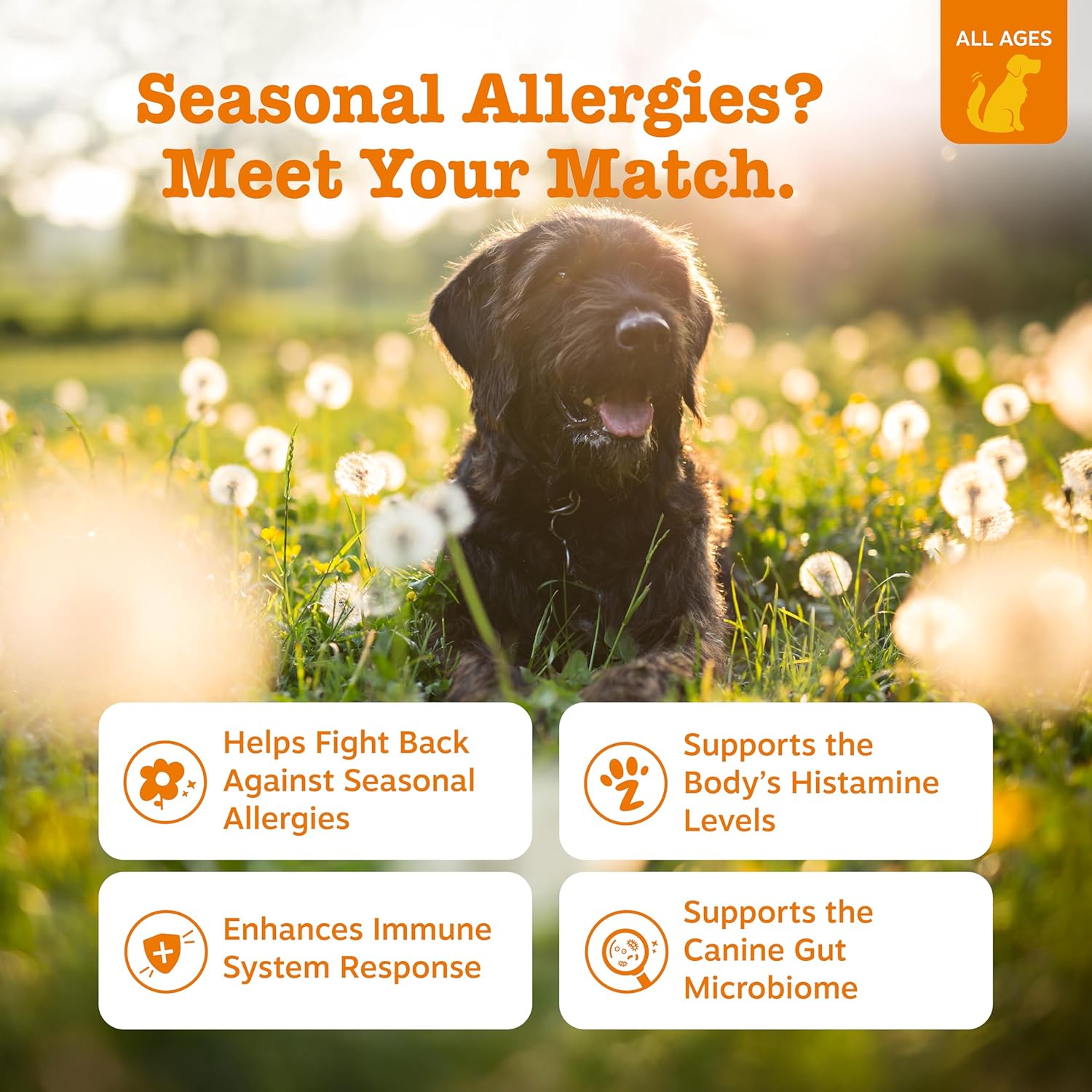 Zesty Paws Dog Allergy Relief Chews, Dog Probiotics for Itchy Skin and Ears, Salmon, 90ct - Image 2