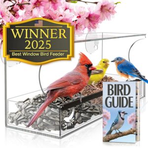 Window Bird Feeder by Nature’...