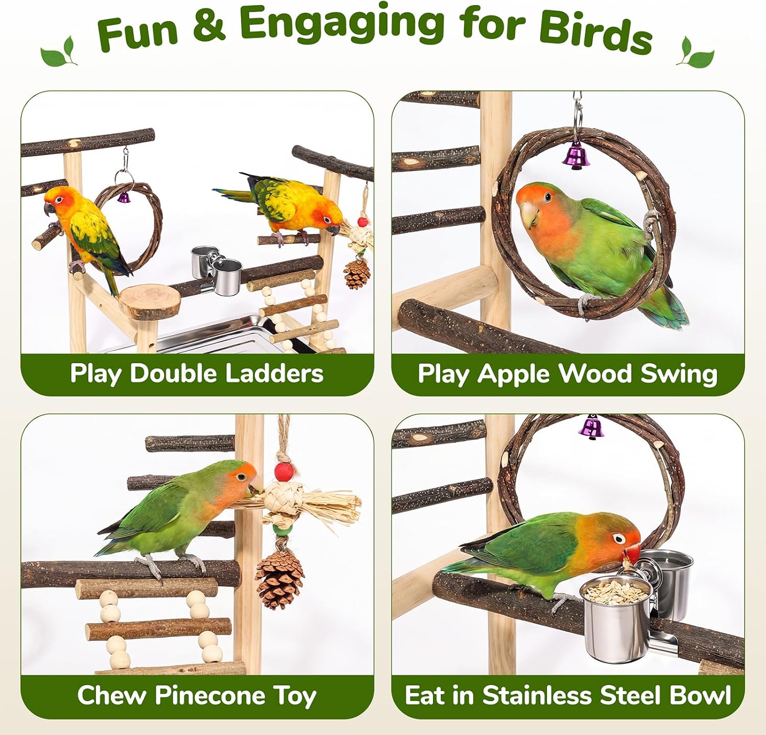 Bird Playground,Parrot Stand with Feeding Cup, Swing, Chew Toys,Removable Tray,Suitable for Small to Medium Birds, Ideal Perch for Budgerigars, Parakeets,Cockatiels - Image 3