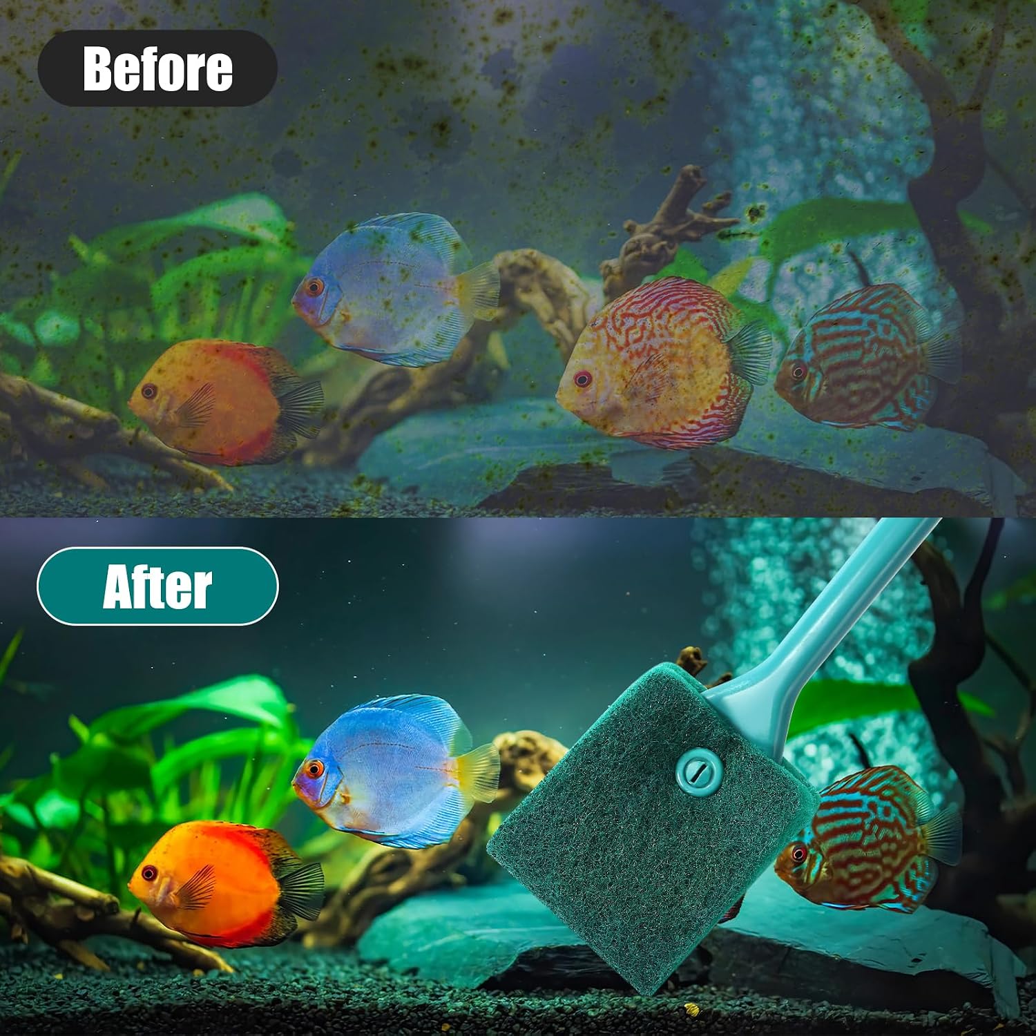 AQUANEAT Fish Tank Cleaning Tools, Aquarium Double Sided Sponge Brush, Algae Scraper Cleaner with Long Handle - Image 5