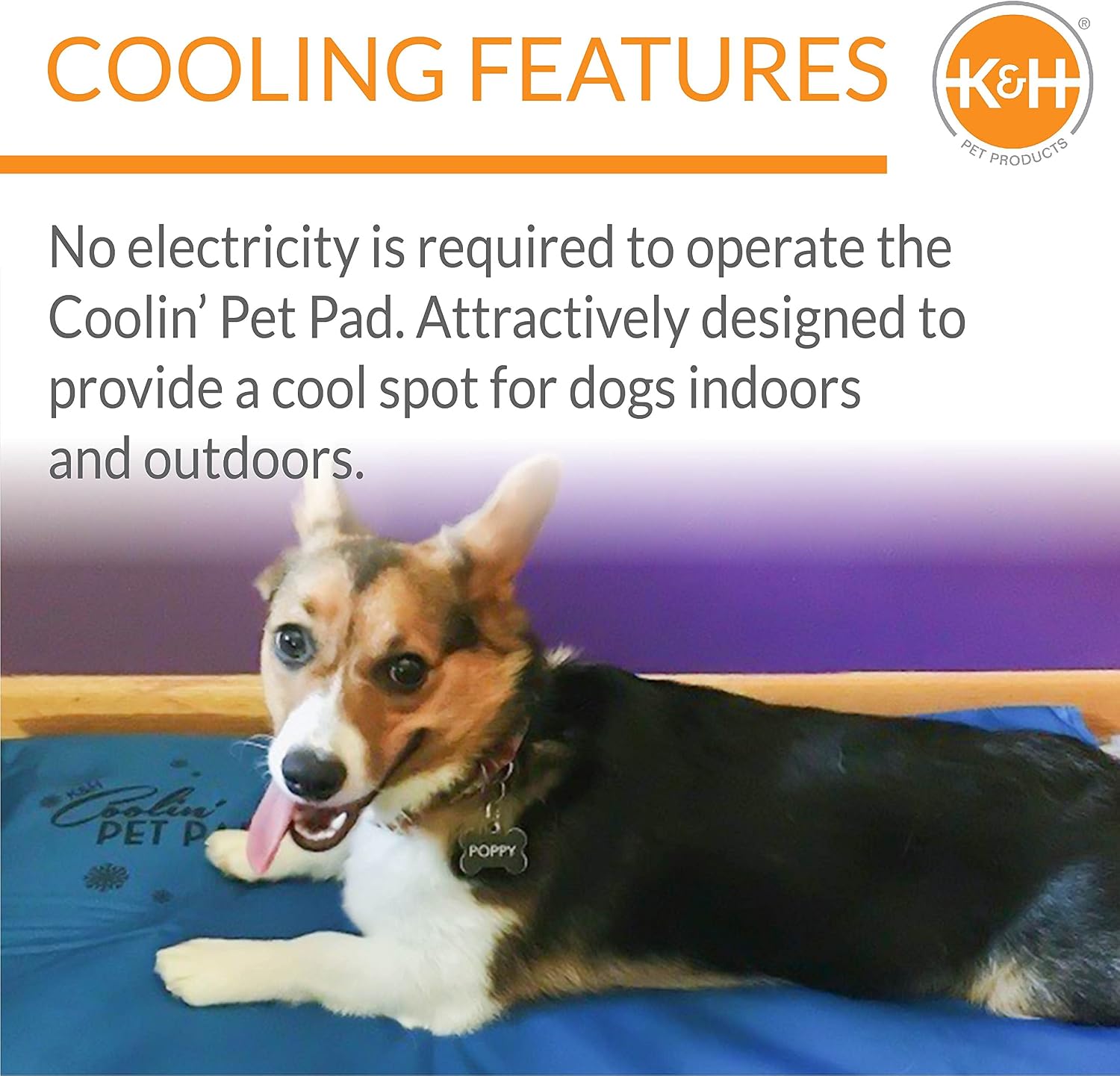 K&H Dog Cooling Mat, Coolin' Pet Pad - Medium 20x15in Chill Blue | Portable Cooling Mat for Dogs, Travel or in Home, Perfect for Carriers, Crates, Outdoor Houses, Yards, Porches, & Pet Beds - Image 4