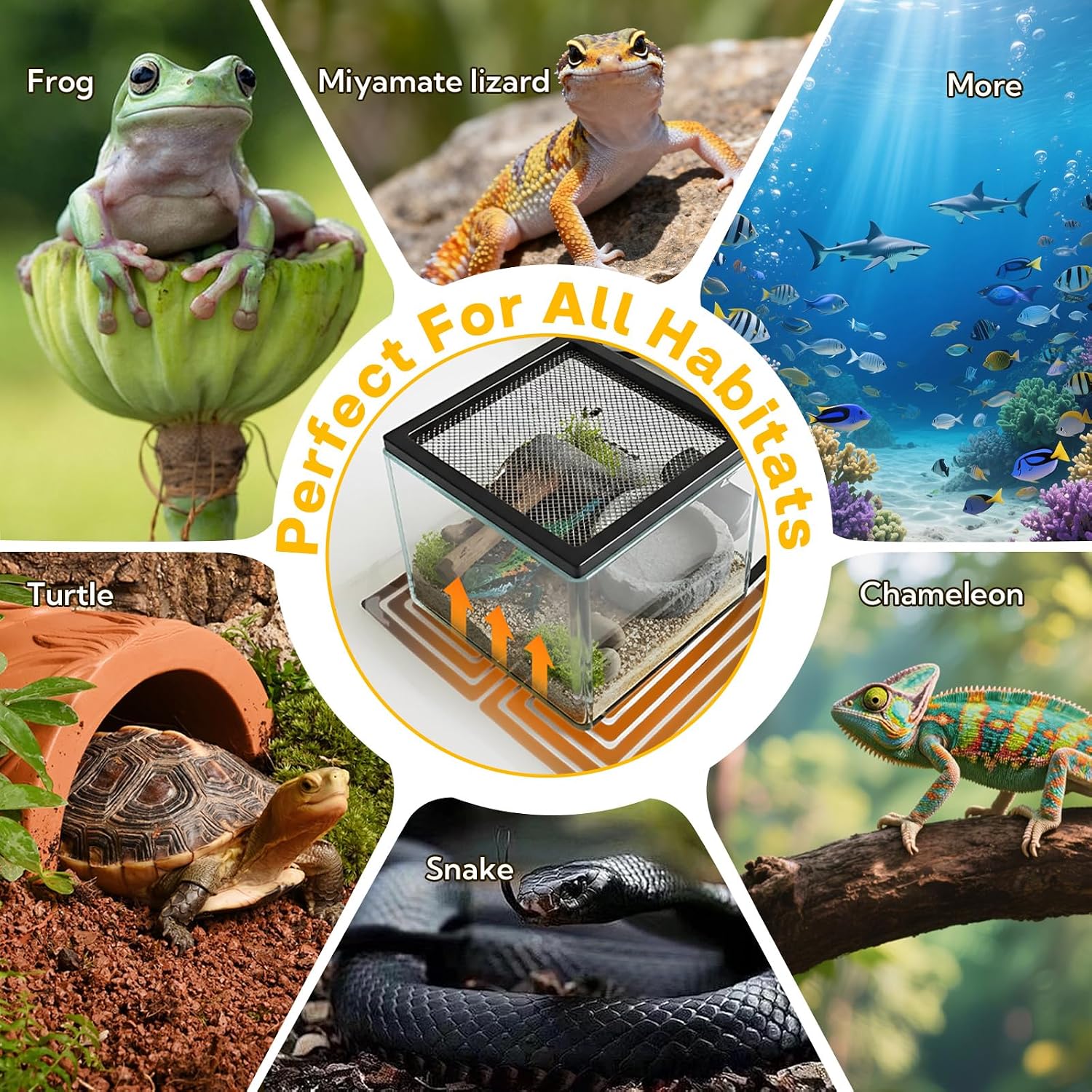 Reptile Heating Pad 6x5.5 Inch Under Tank Heater, 5W Low Energy Graphene Heating Mat for Terrarium, Safe & Even Warming for Snake Lizard Gecko Turtle Frog Hermit Crab Plastic/Glass Cages - Image 8