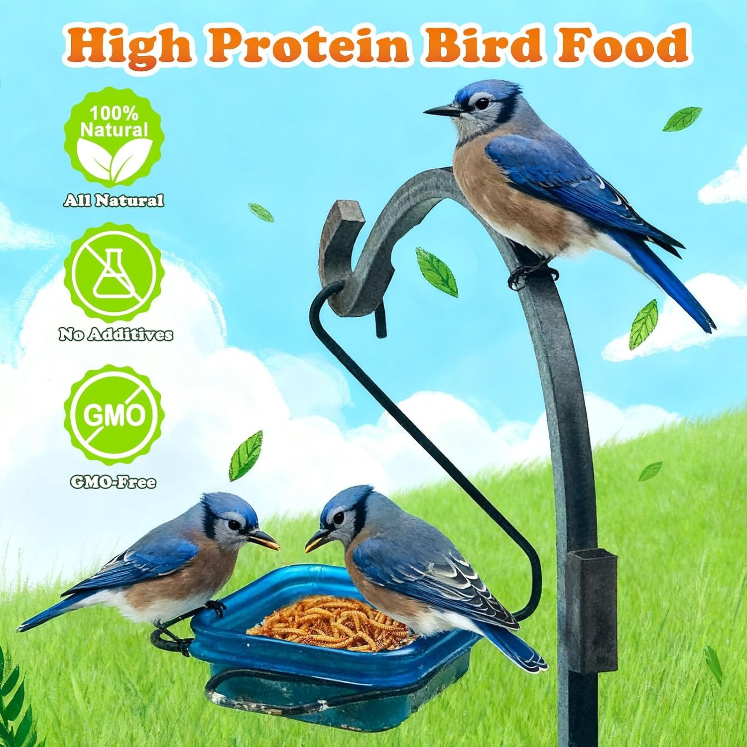 Amzey Dried Mealworms 11 LBS - 100% Natural for Chicken Feed, Bird Food, Fish Food, Turtle Food, Duck Food, Reptile Food, Non-GMO, No Preservatives, High Protein and Nutrition - Image 4