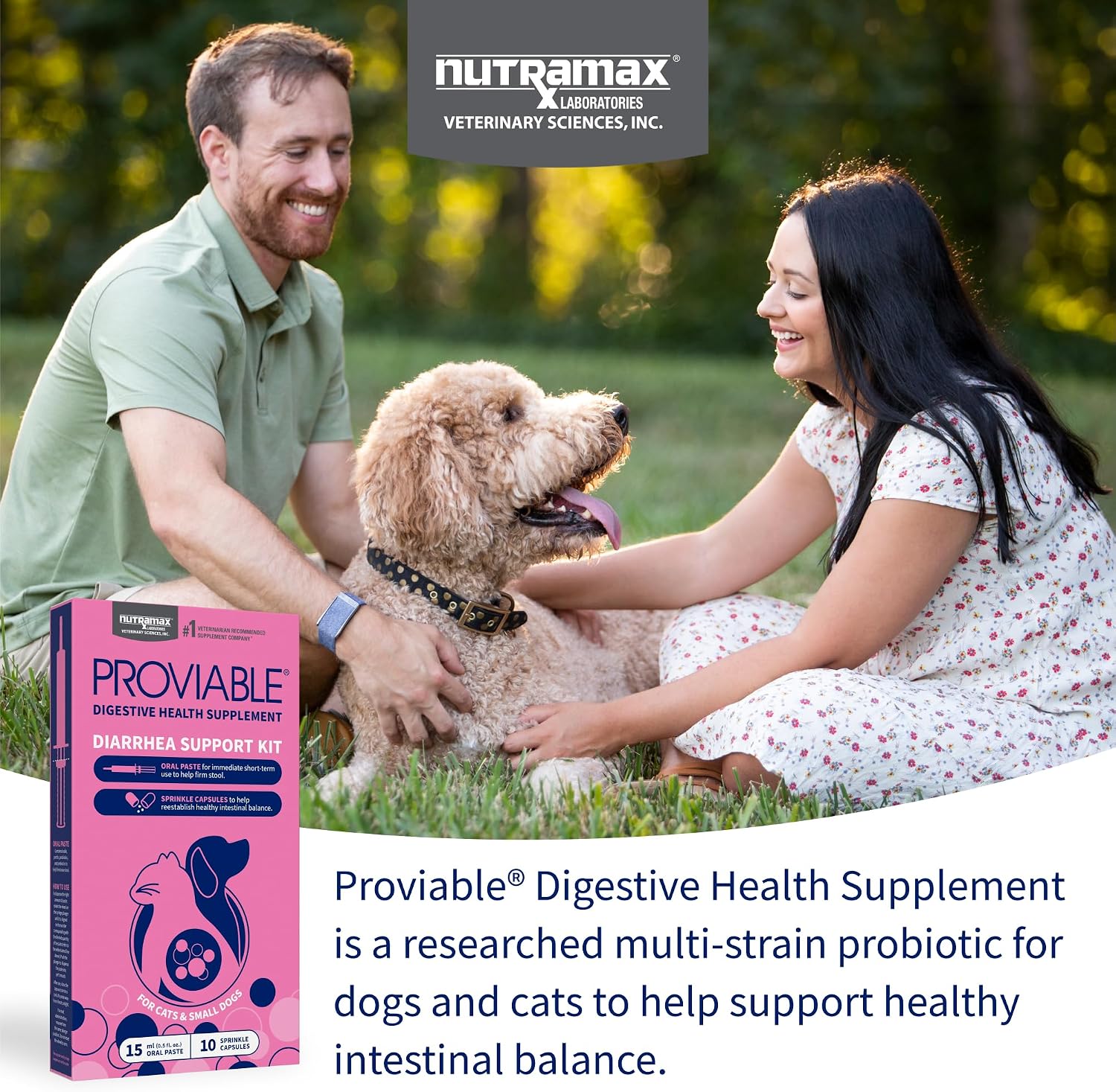 Nutramax Proviable Probiotics for Small Dogs and Cats, Diarrhea Support Kit, Digestive Health Supplement with Multiple Strains of Bacteria, Plus Prebiotics, Kaolin and Pectin, 15 ml Paste and 10 Capsules - Image 3