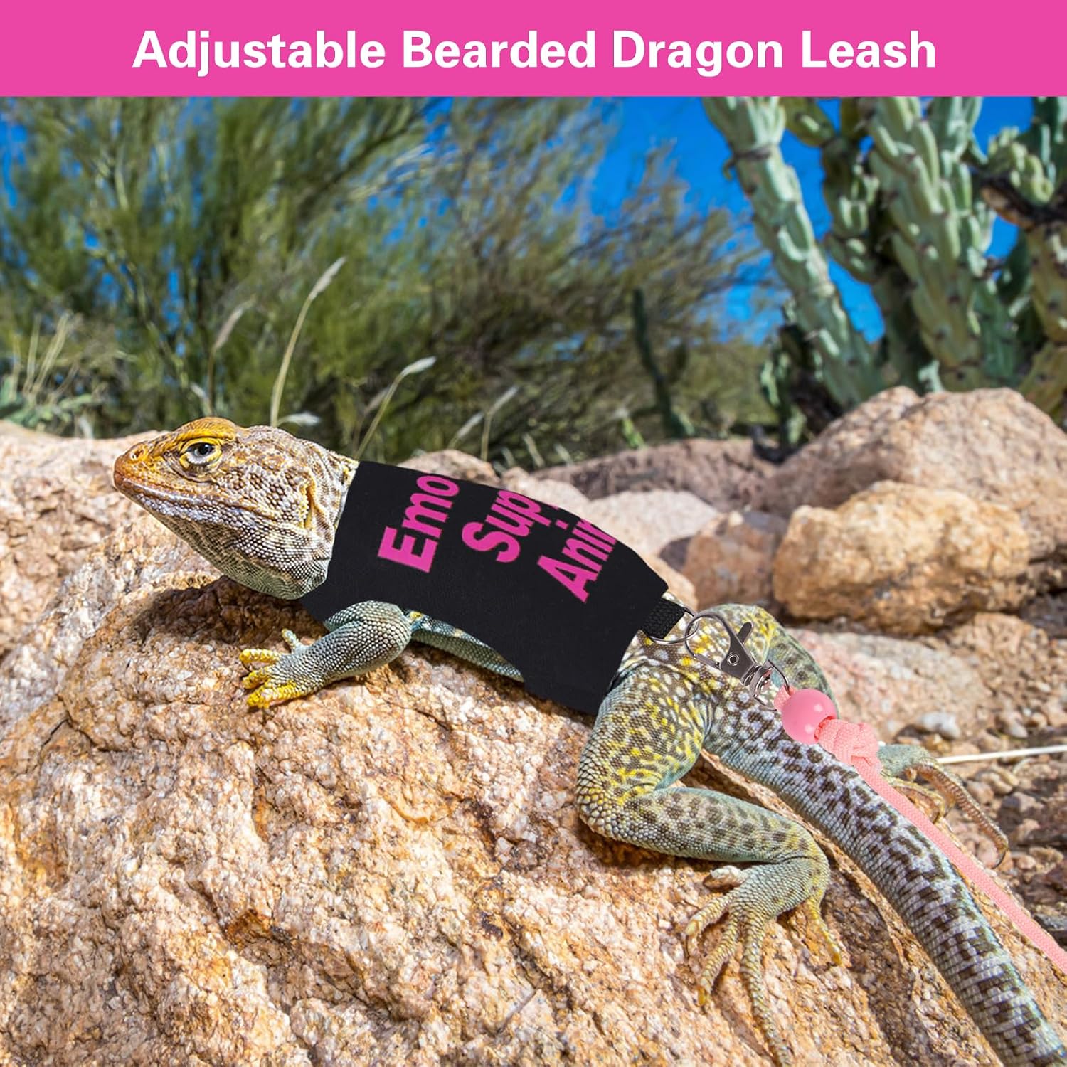 Bearded Dragon Harness and Leash Set Adjustable Reptile Lizard Leash Rope Vest Clothes Starter Kit Accessories for Small Animal Outdoor Walking Training - Image 5