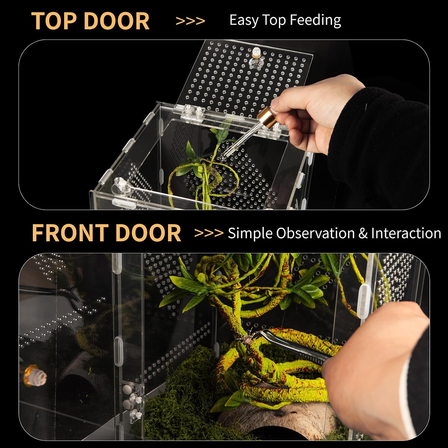 Acrylic Reptile Terrarium Easy Assembly, 360° Clear & Keep Pet Secure Design for Jumping Spiders, Tarantulas, Geckos Scratch-Resistant Large Ventilated Habitat Terrarium for Arachnids 11.8*7.9*7.9in - Image 4