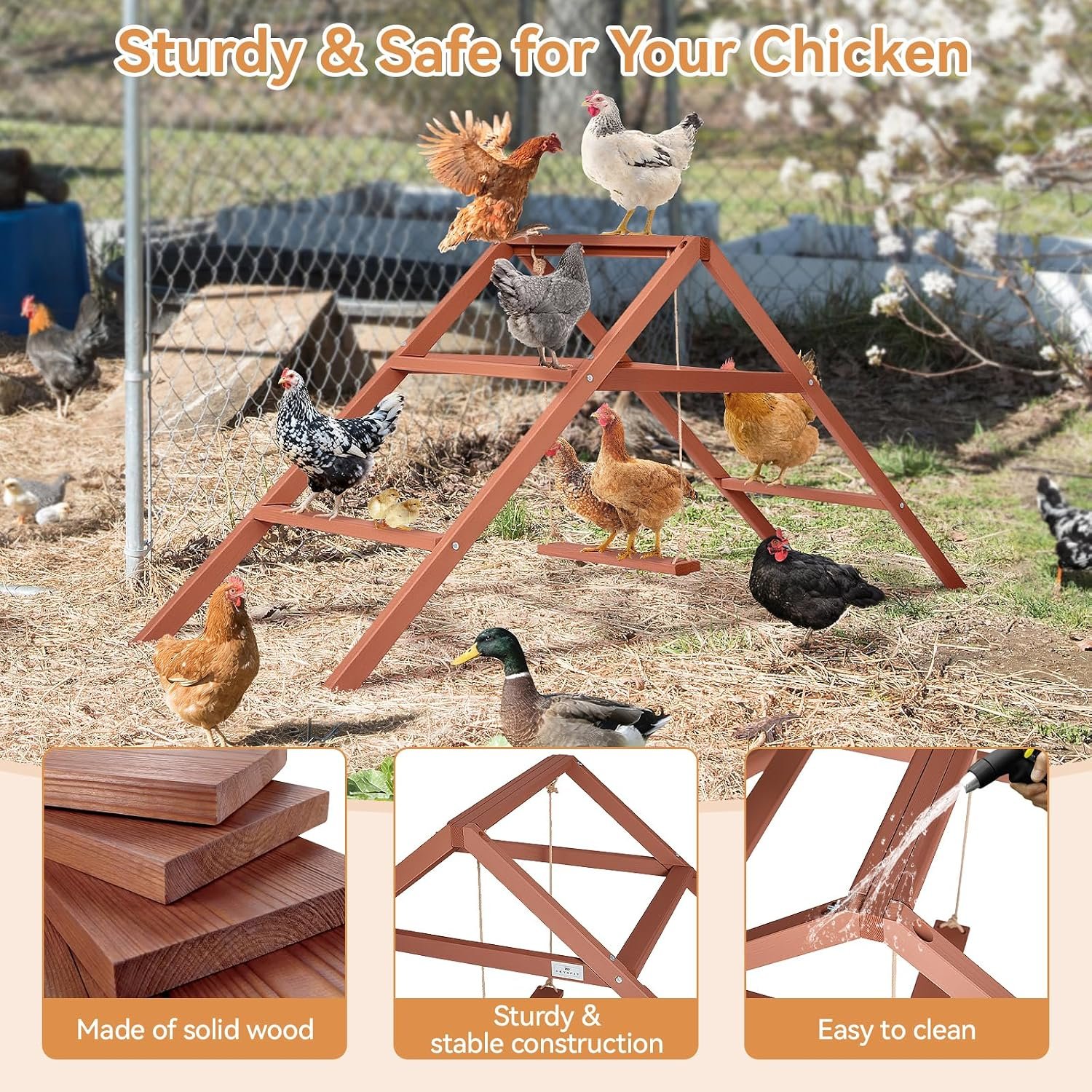 PETSFIT Wooden Chicken Roosting Bars for 10-12 Chickens, Easy Assembly | Solid Fir Wood,Chicken Perch for Outdoor Coops,Backyard Farms ,3-Layers Design with Swing,Promotes Healthy,Easy to Clean - Image 3