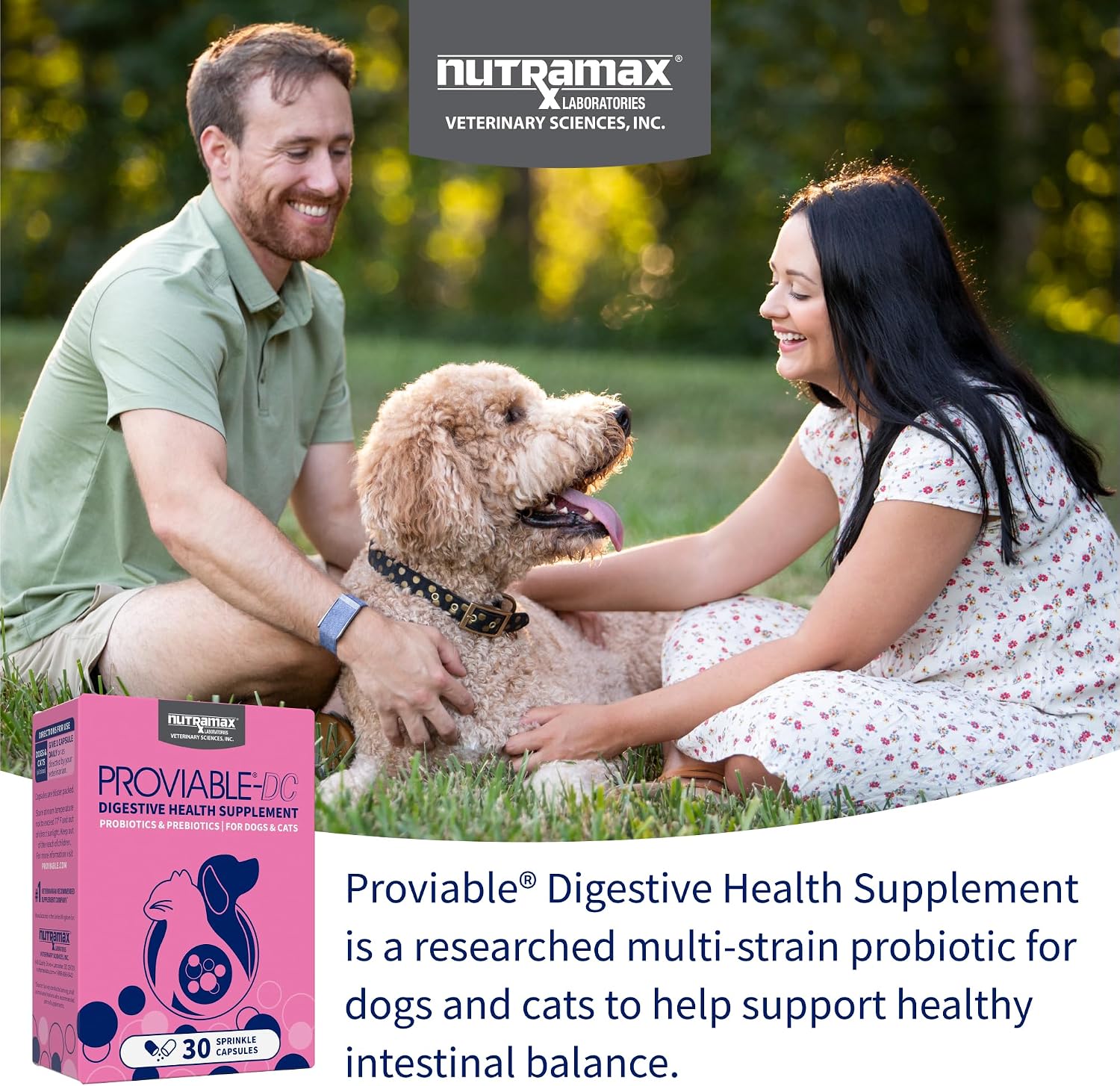 Nutramax Proviable Probiotics for Dogs and Cats, Daily Digestive Health Supplement with Multiple Strains of Bacteria, Cat and Dog Probiotics Plus Prebiotics, 30 Capsules - Image 3