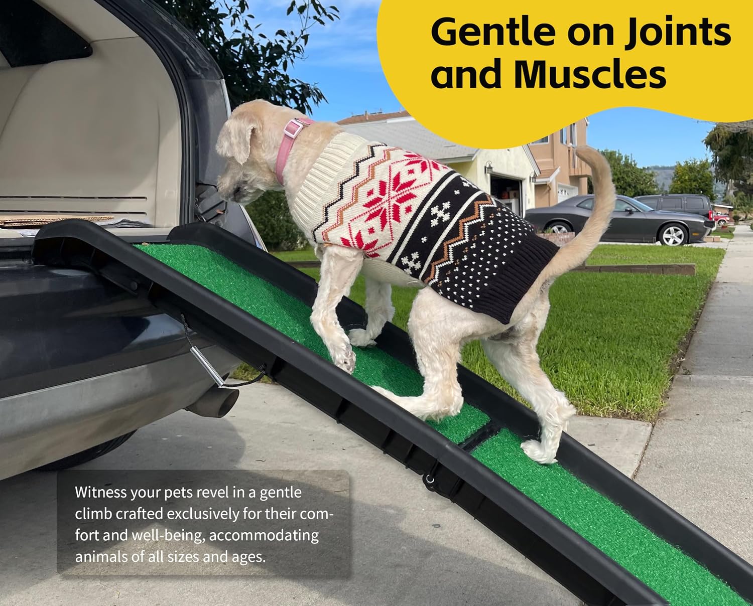 PawStep 50894 Pet Ramp for Dogs & Cats – Foldable Portable Dog Ramp with Poly Grass Non-Slip Surface, Lightweight Travel Ramp for Cars, SUVs, Beds & Couches - Image 3