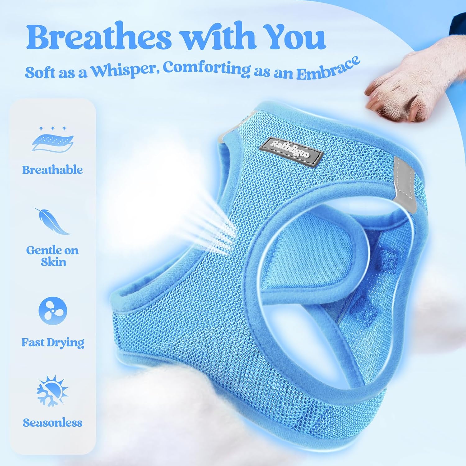 rabbitgoo Dog Harness Small Sized and Leash Set, Step-in Puppy Pet Vest | Light, Soft, Breathable Air Mesh, Easy on and Remove with Hook & Loop, Secure Reflective for Walking, Blue S - Image 3