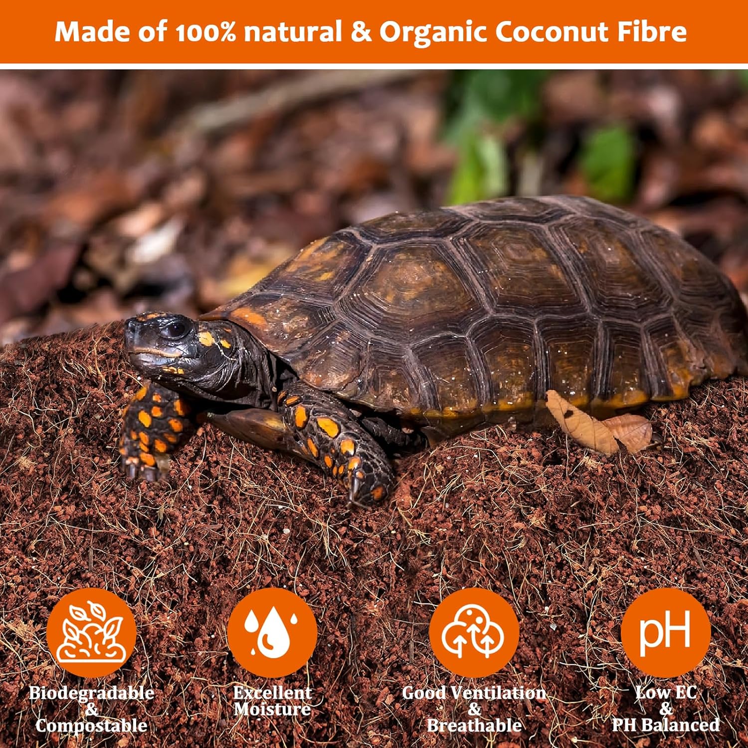 Riare 2 Pack Natural Coconut Fiber Substrate for Reptile- Premium Compressed Coconut Husk Terrarium Bedding for Reptile, Tortoise, Frogs, Snakes Hermit Crabs, Burrowing Animals - Image 3