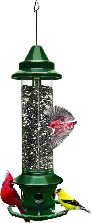 Squirrel Buster Plus Squirrel-proof...