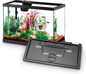 Aqueon Aquarium Starter Kit with Sm...