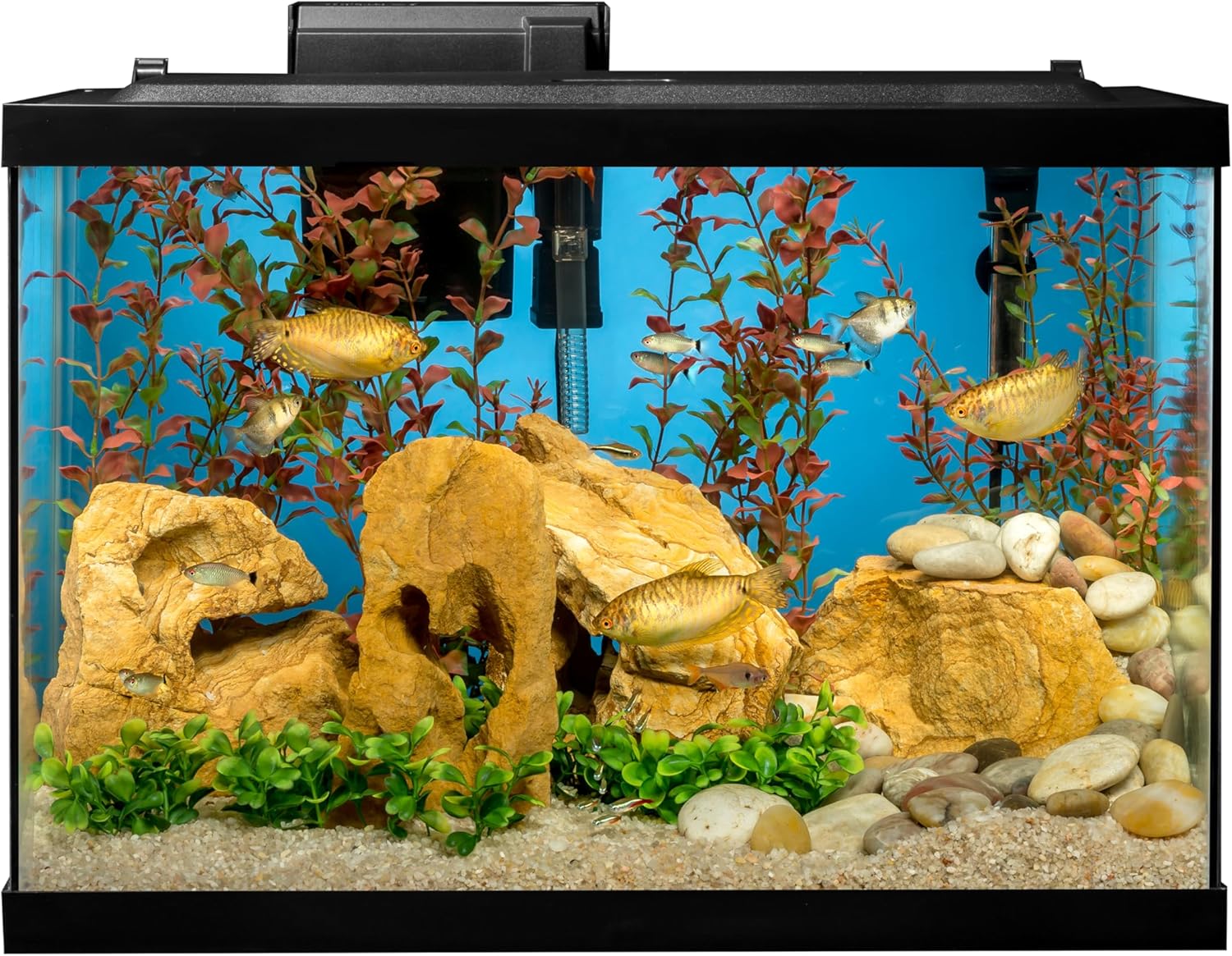 Tetra Aquarium, 20 Gallon, Complete Tropical Fish Tank Kit With LED Lighting And Decor For Freshwater Fish - Image 4