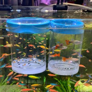 Fish Breeder Box for Fishes Tank Is...